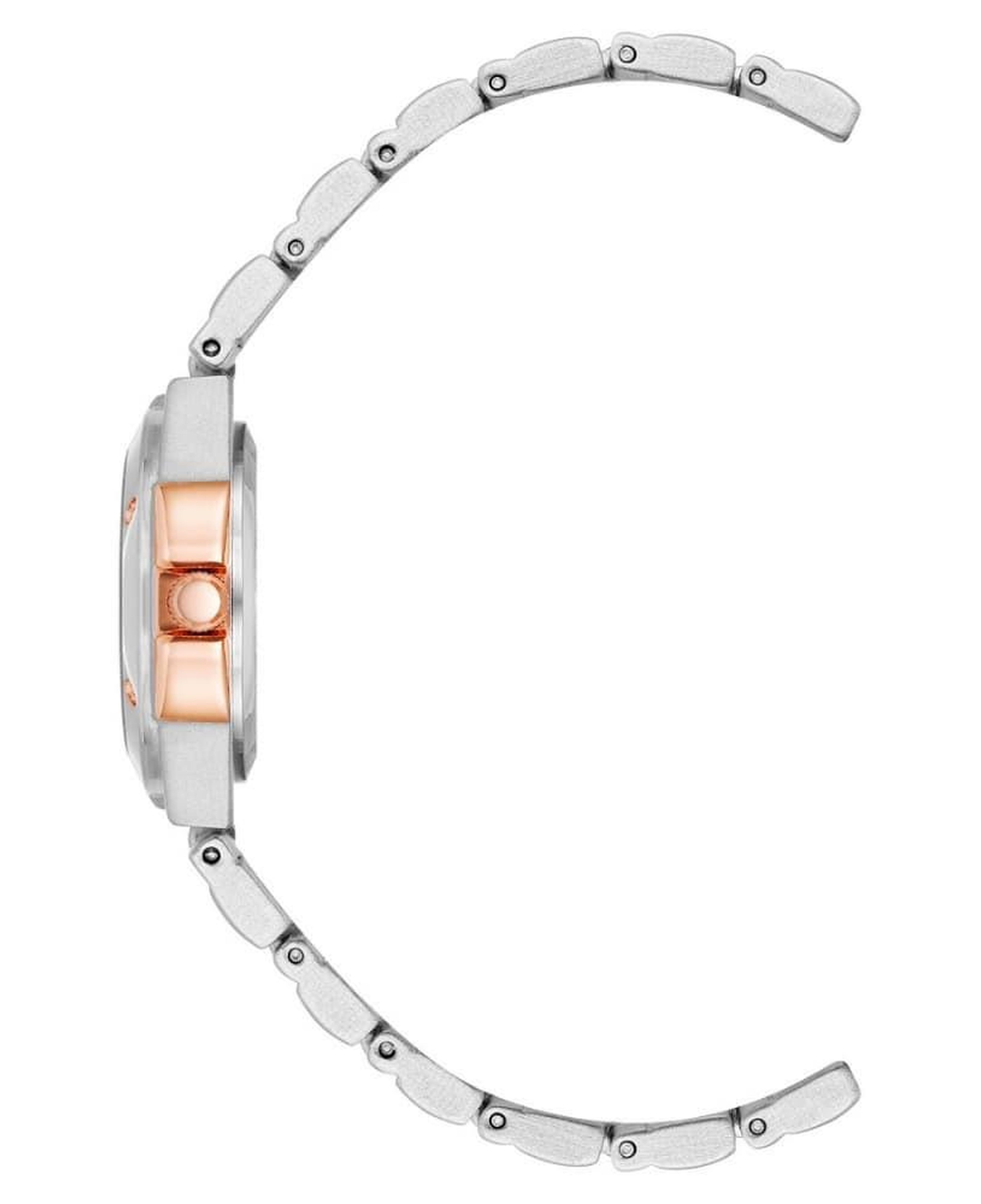 ANNE KLEIN 10-8655SVRT  Kadın Kol Saati