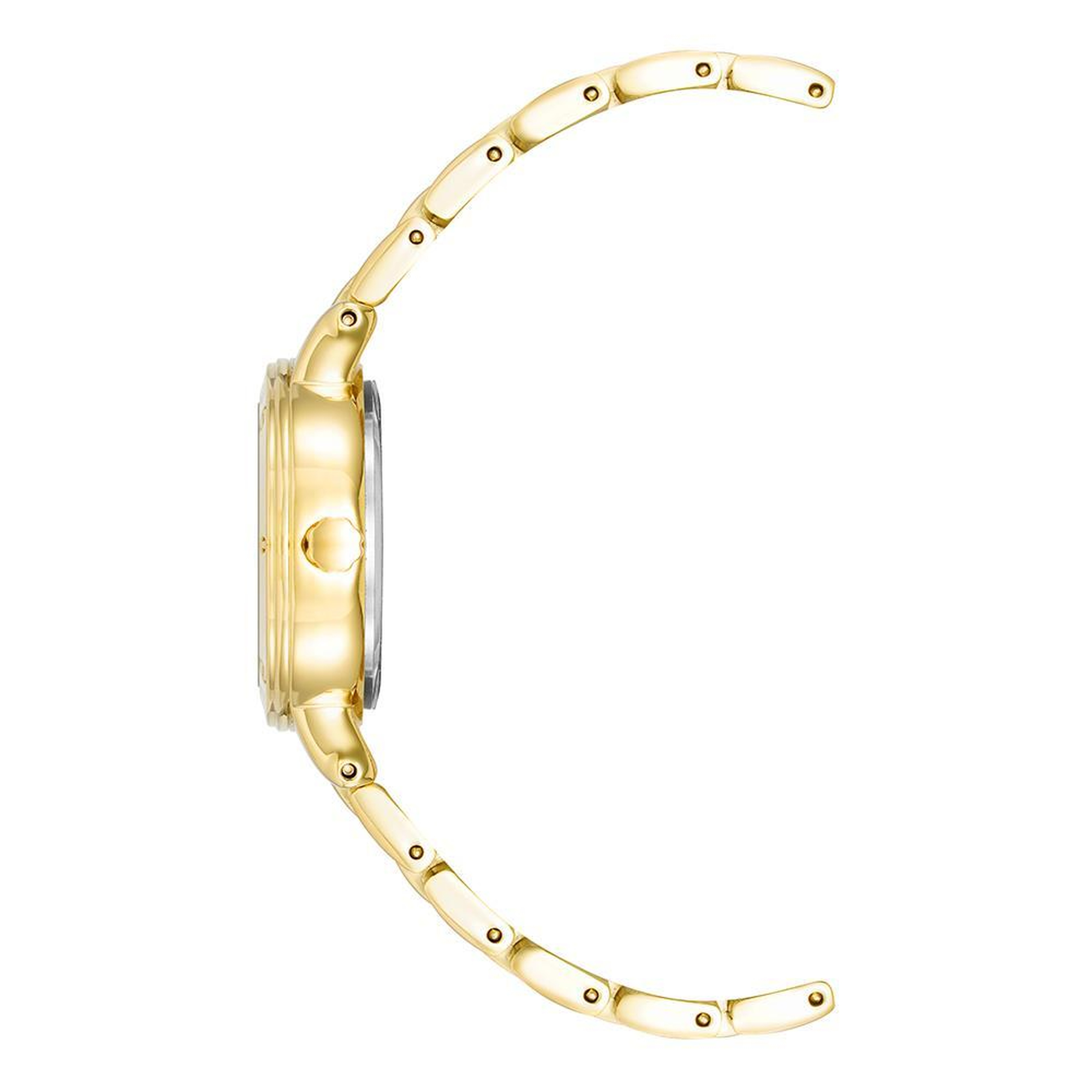 ANNE KLEIN AK-4014WTGB Kadın Kol Saati