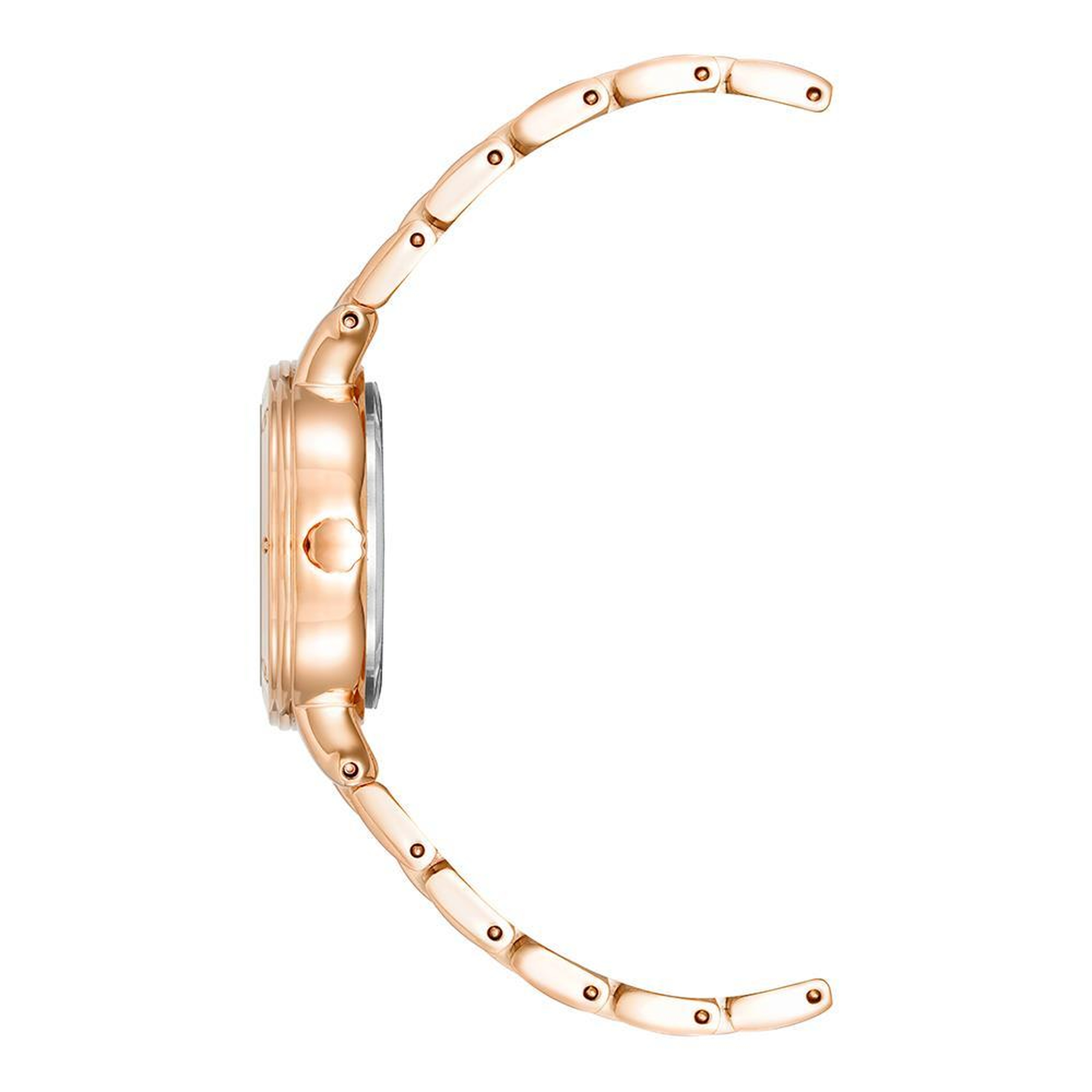 ANNE KLEIN AK-4014WTRG Kadın Kol Saati