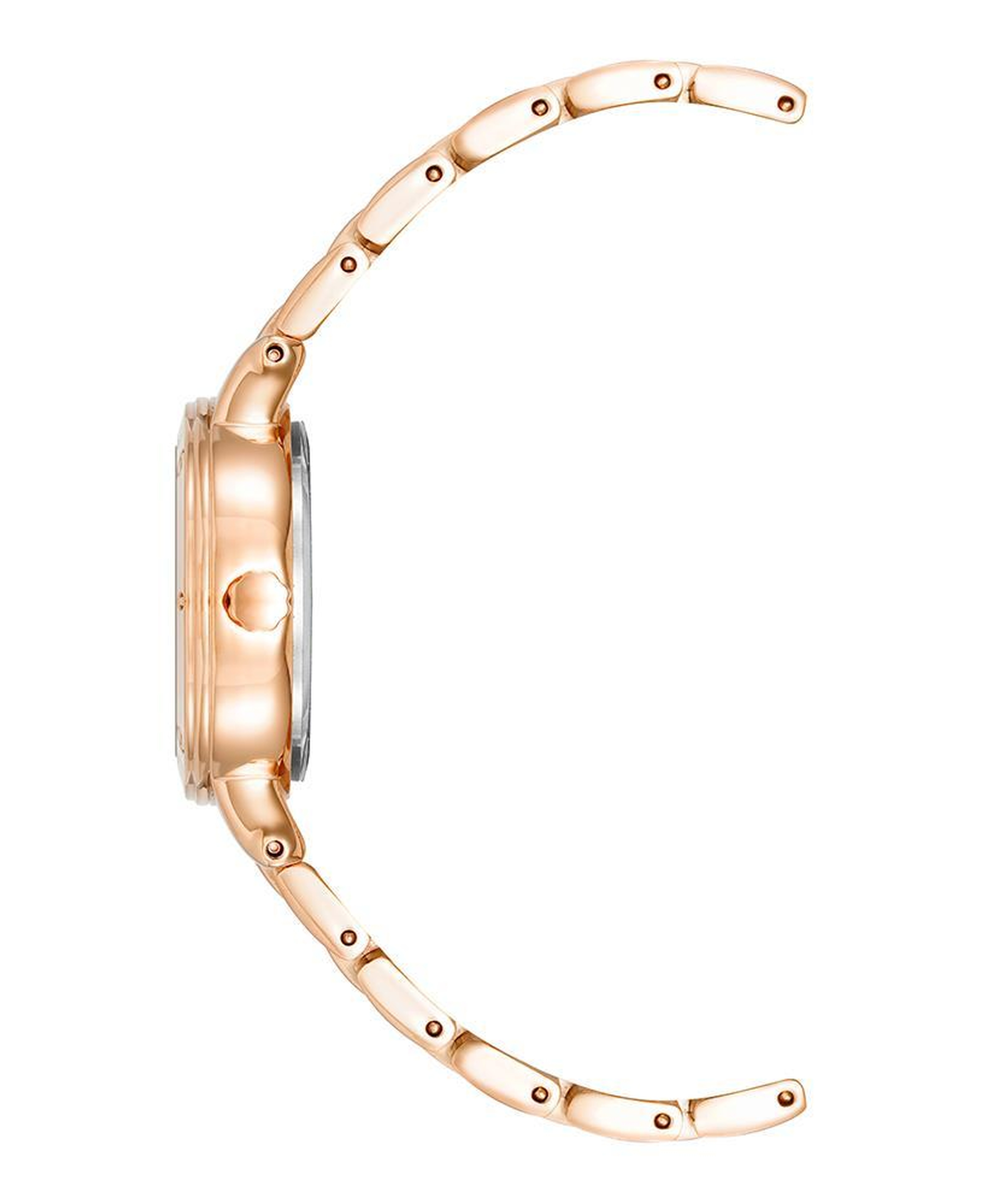 ANNE KLEIN AK-4014WTRG Kadın Kol Saati