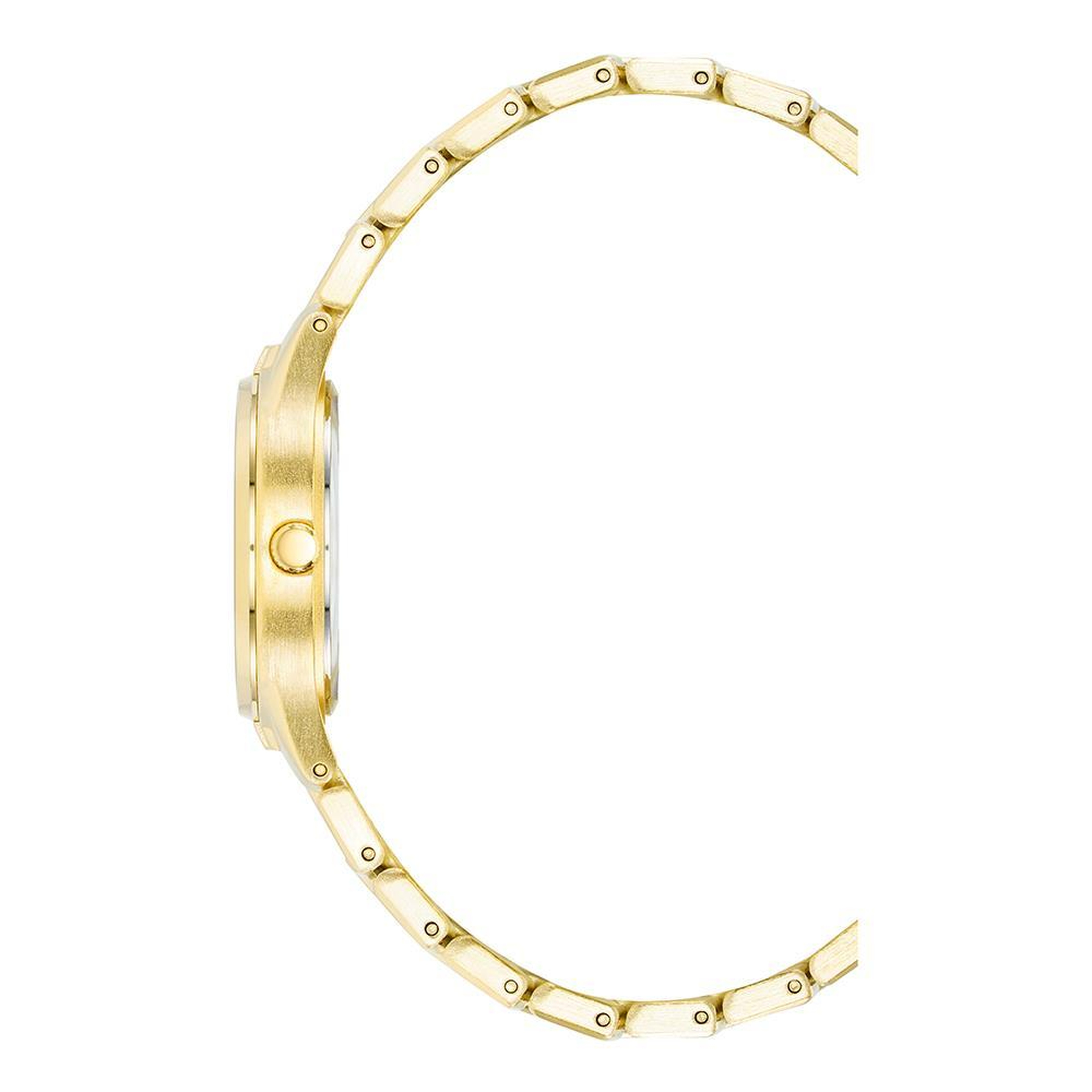 ANNE KLEIN AK-4060CHGB Kadın Kol Saati