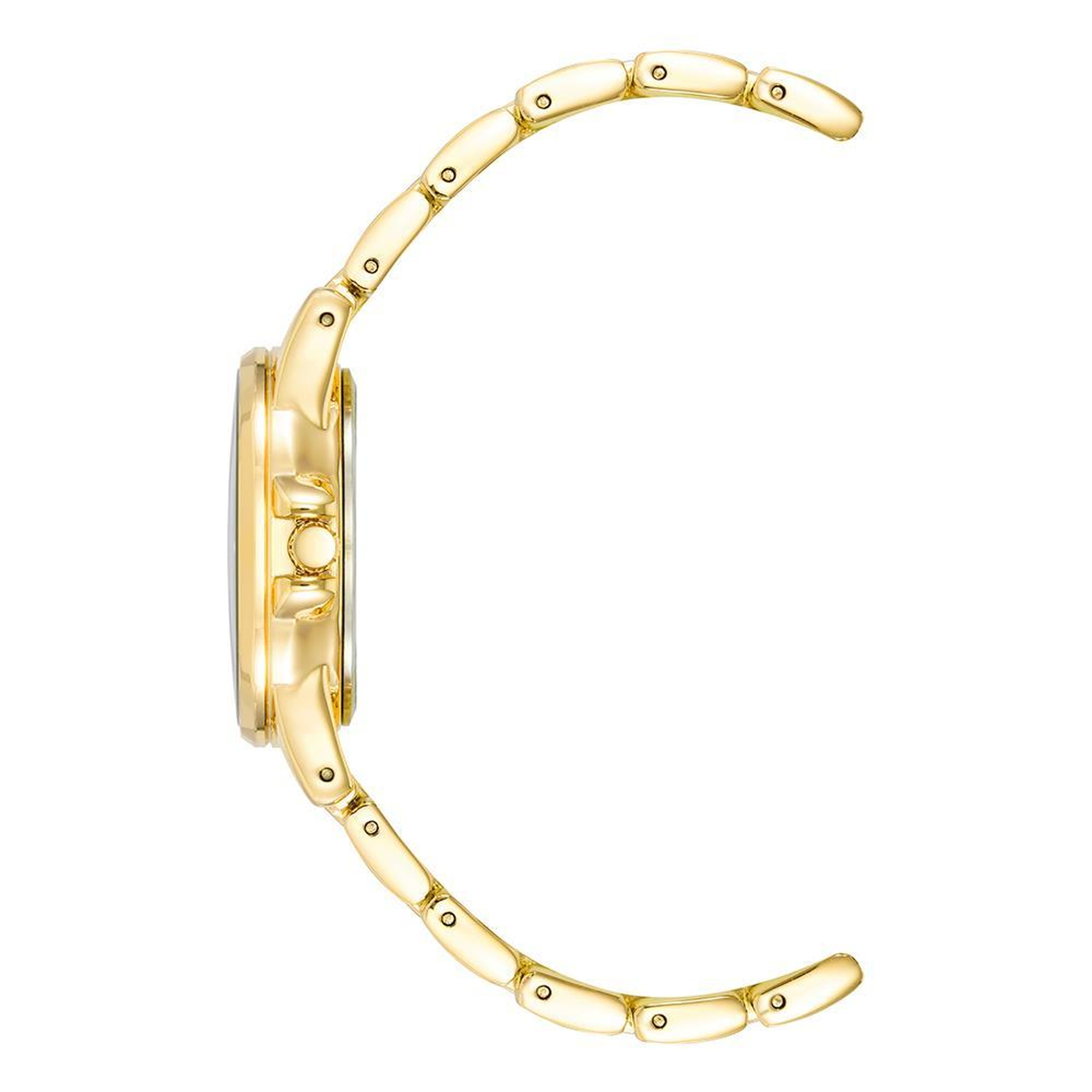 ANNE KLEIN AK-4132RQGB Kadın Kol Saati