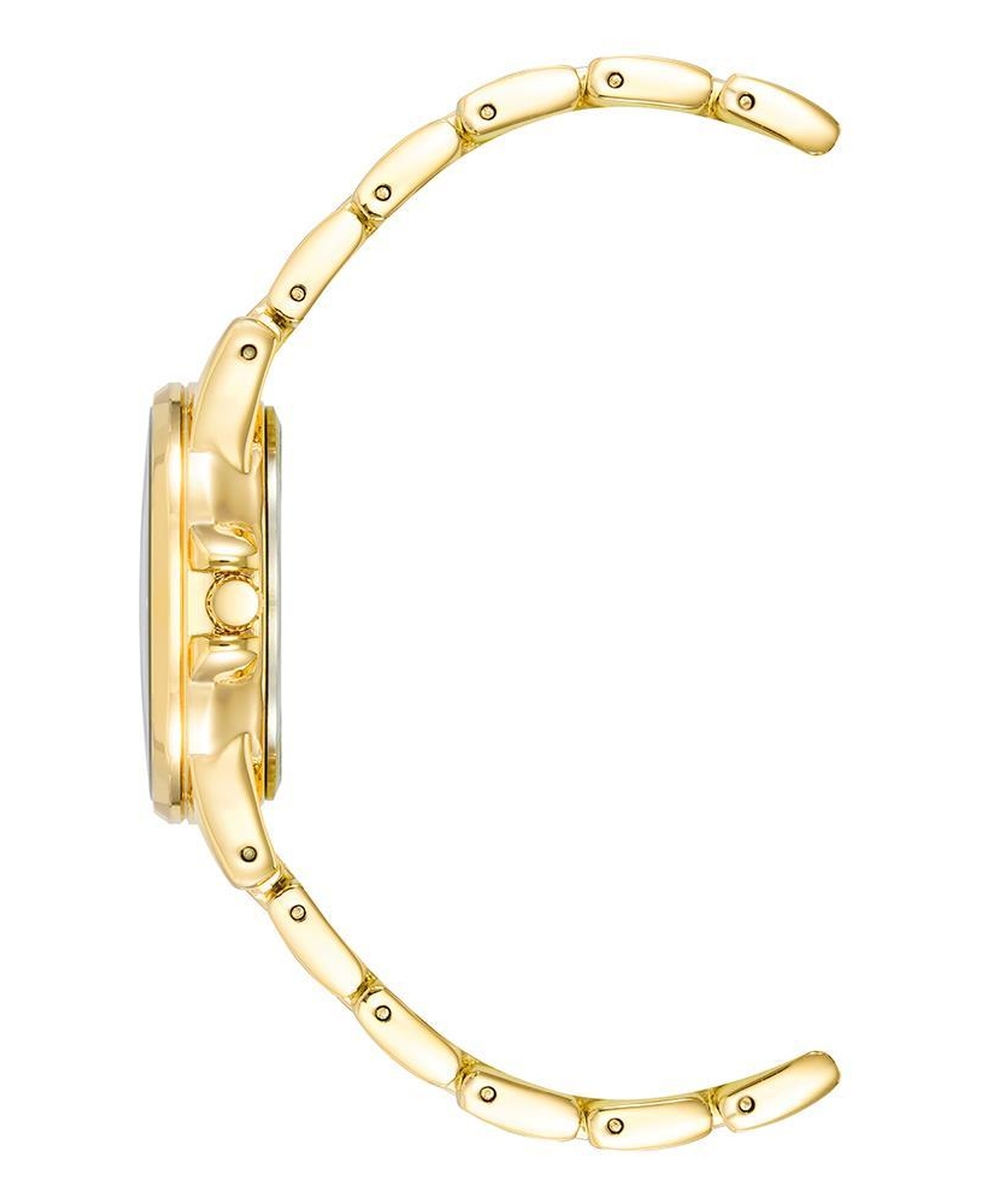 ANNE KLEIN AK-4132RQGB Kadın Kol Saati