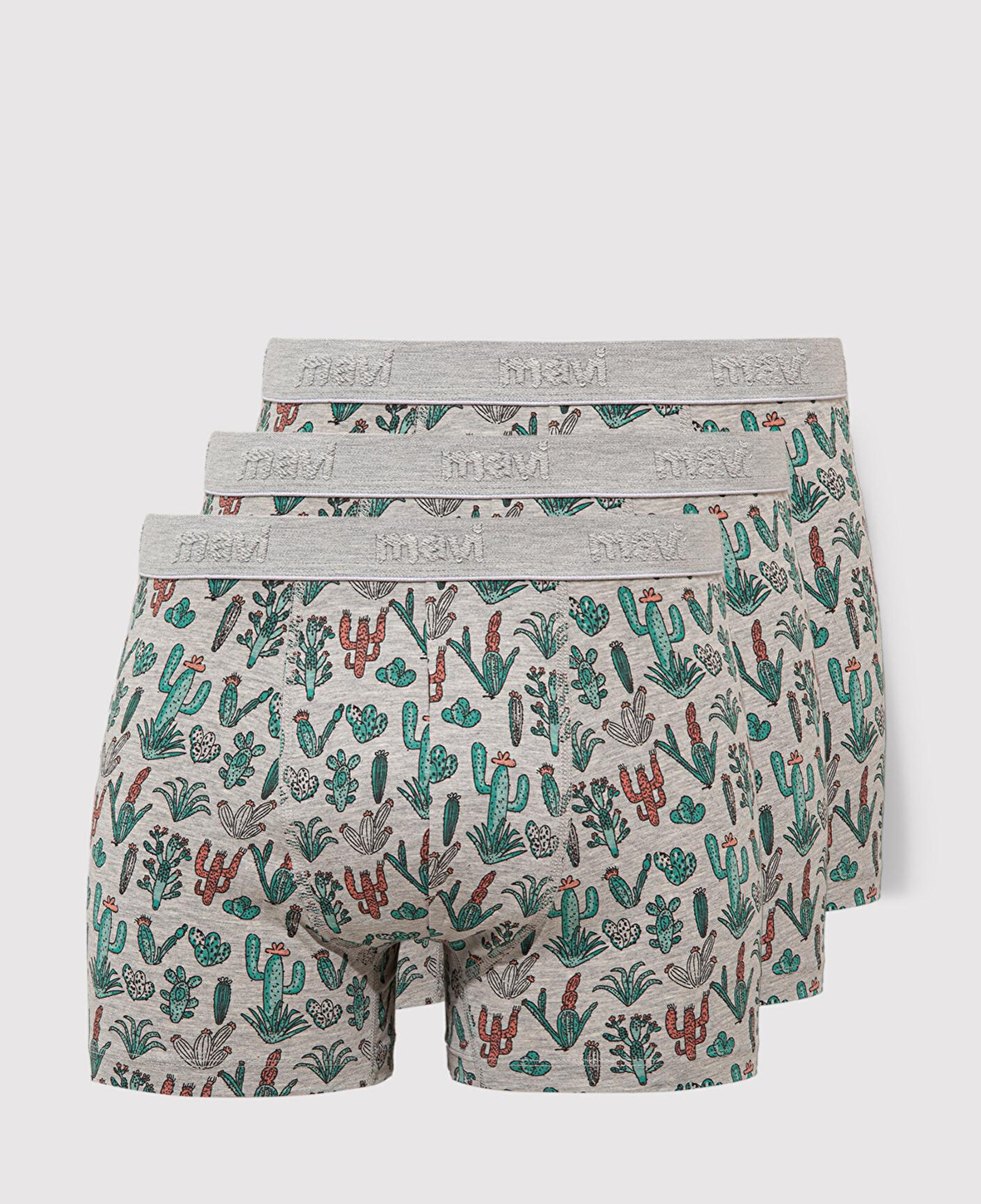 Mavi 3lü Kaktüs Baskılı Gri Boxer 0912212-23854