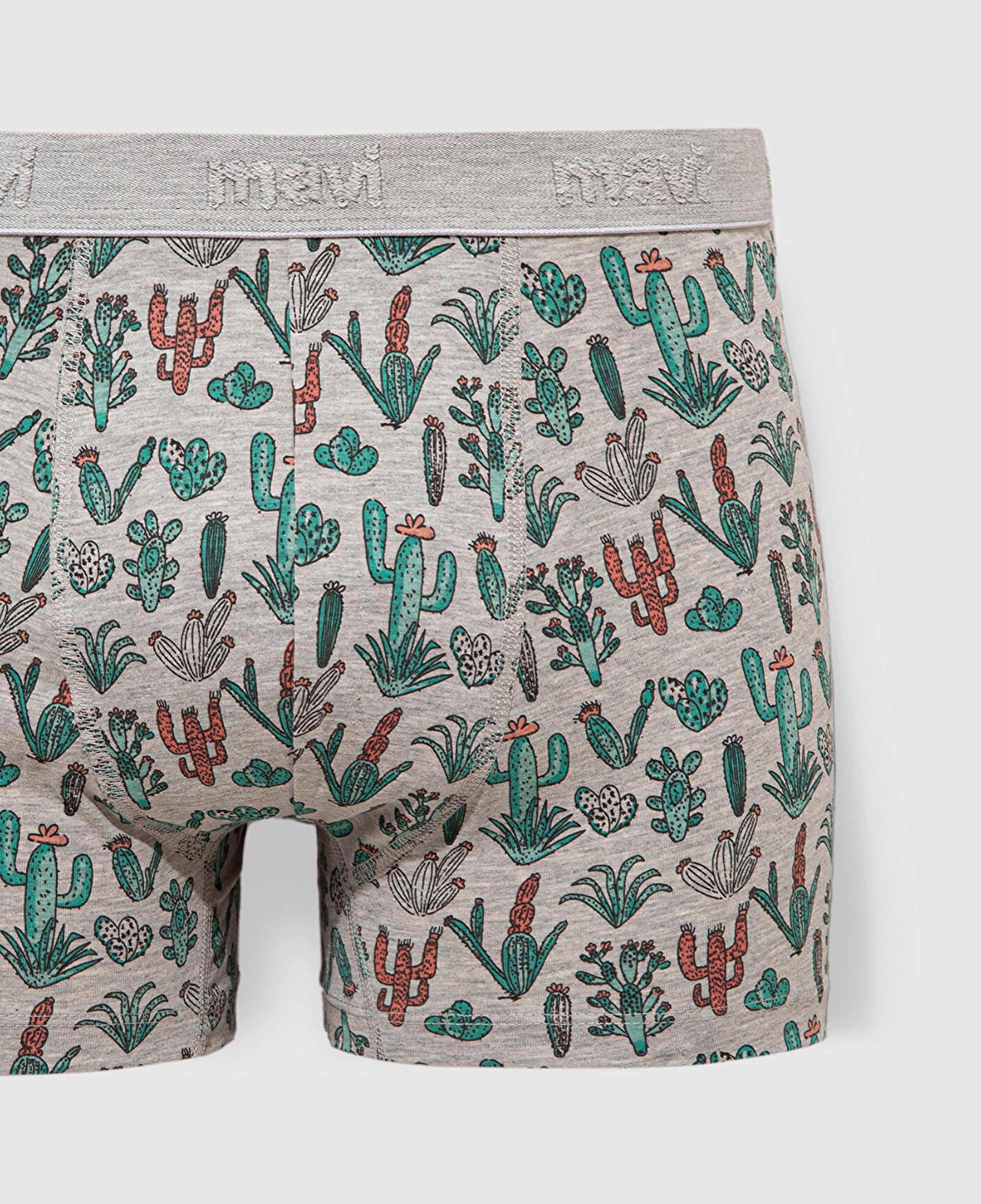 Mavi 3lü Kaktüs Baskılı Gri Boxer 0912212-23854