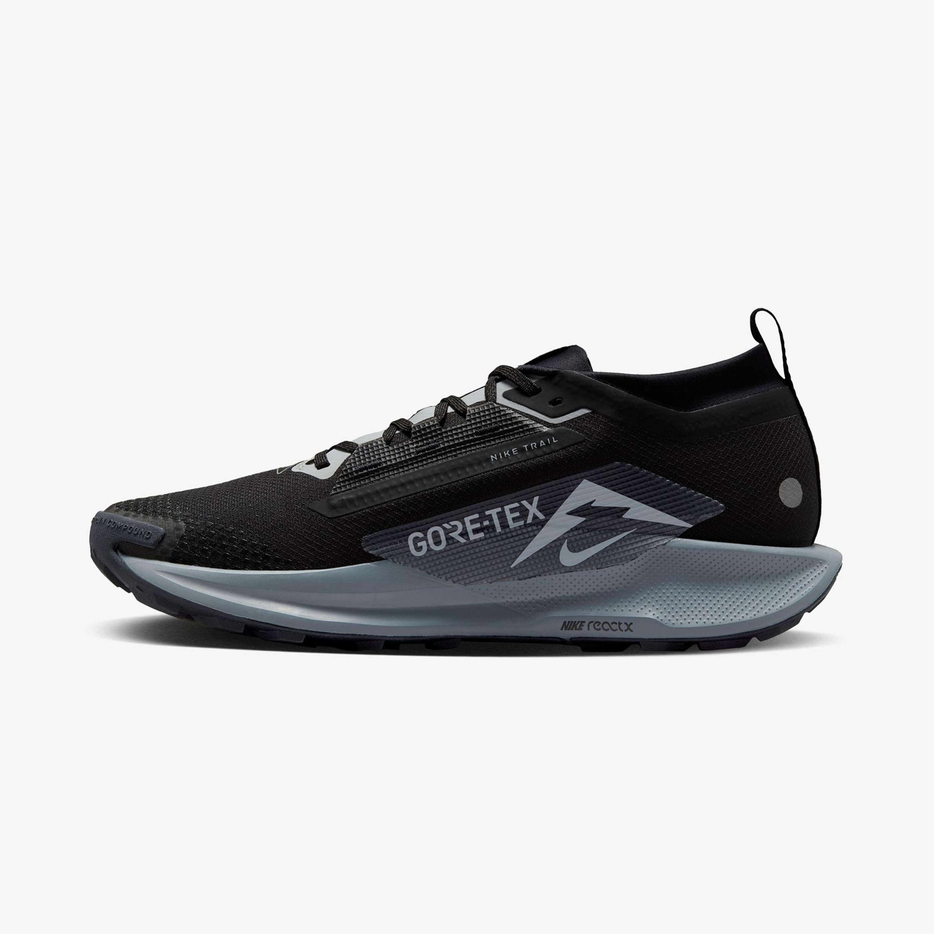Nike Pegasus Trail 5 Gore-Tex Erkek Siyah Koşu Ayakkabısı