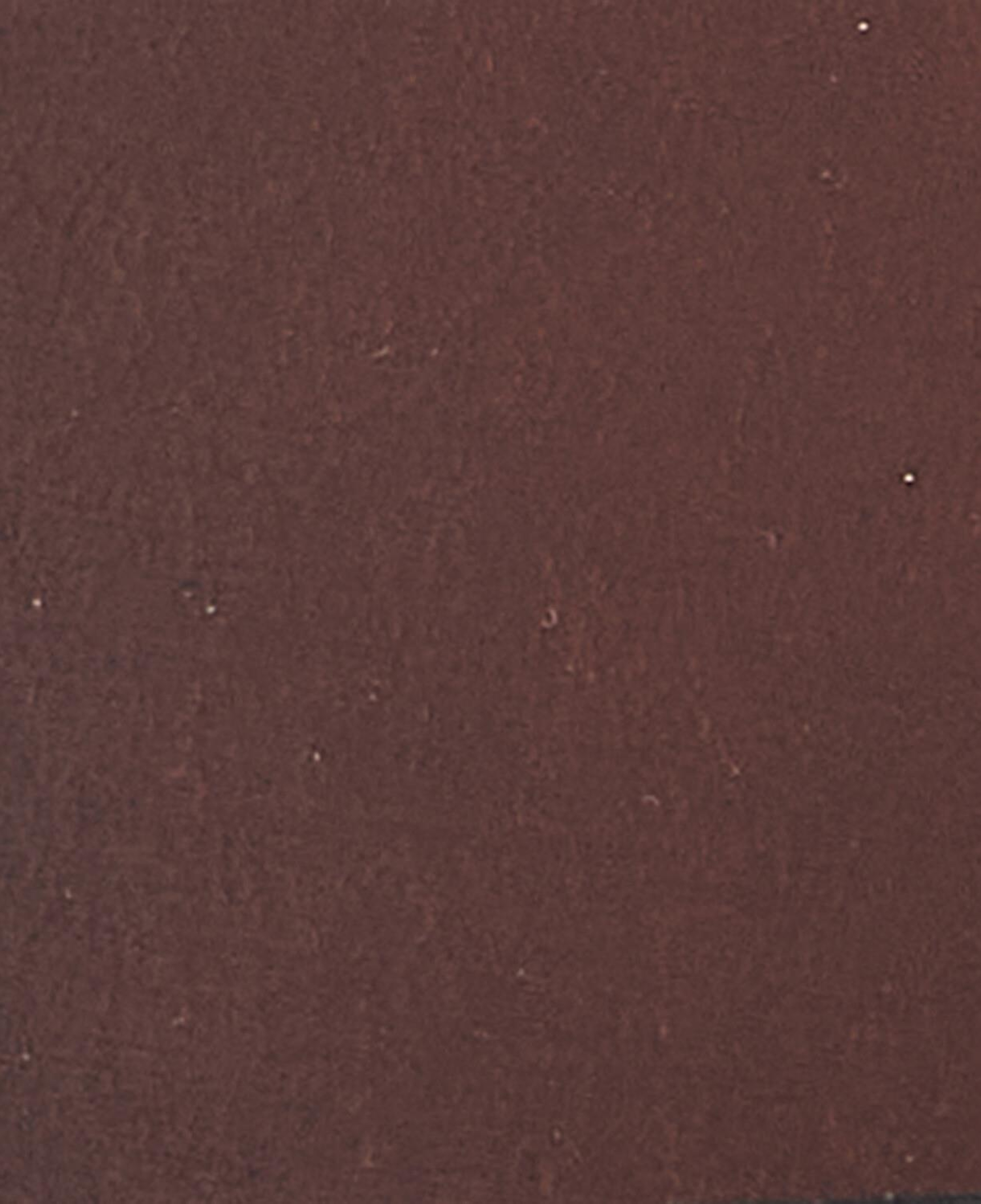 Barbour Double Rivet Kemer