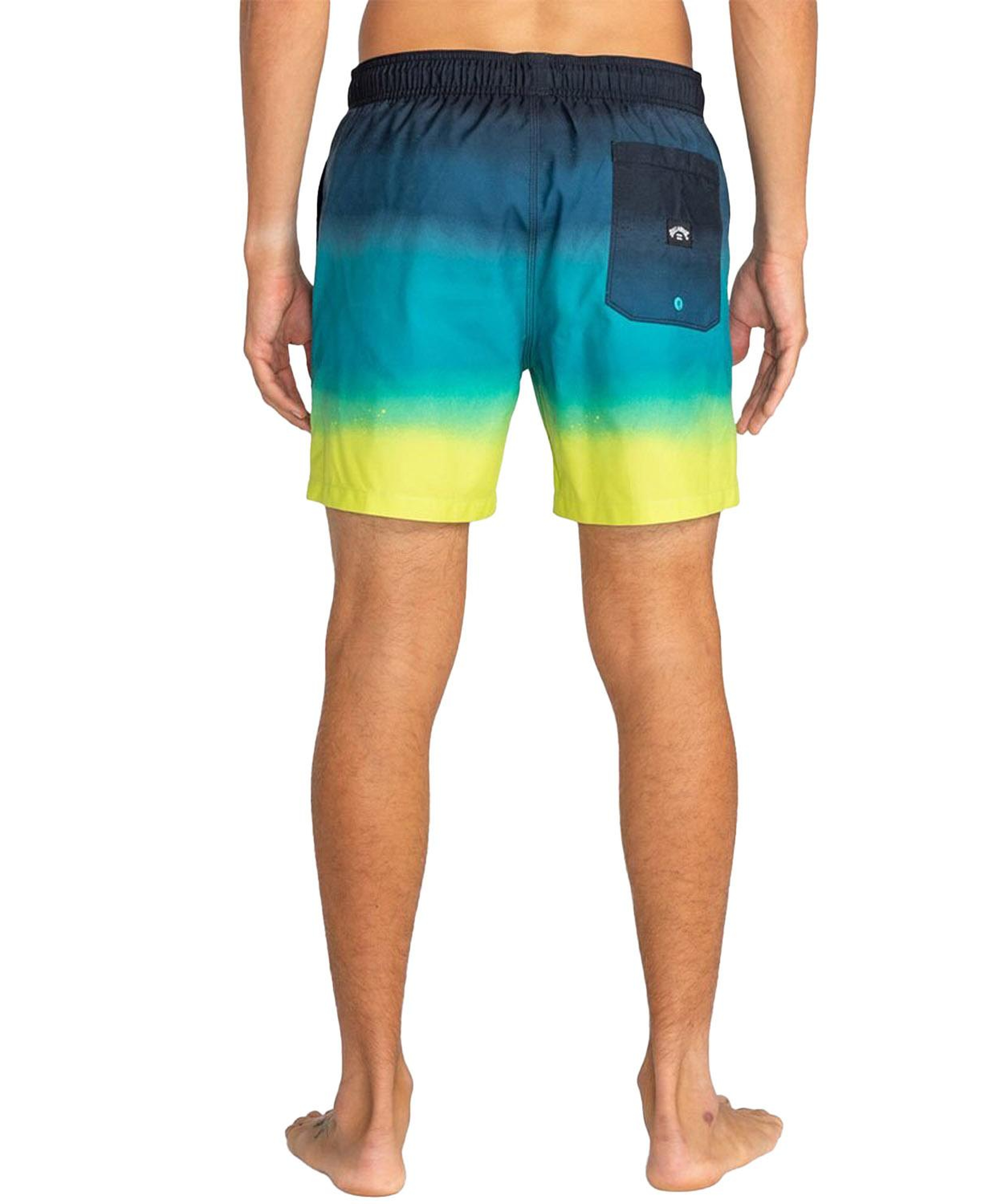 Billabong All Day Fade Lb Erkek Siyah Volley Short
