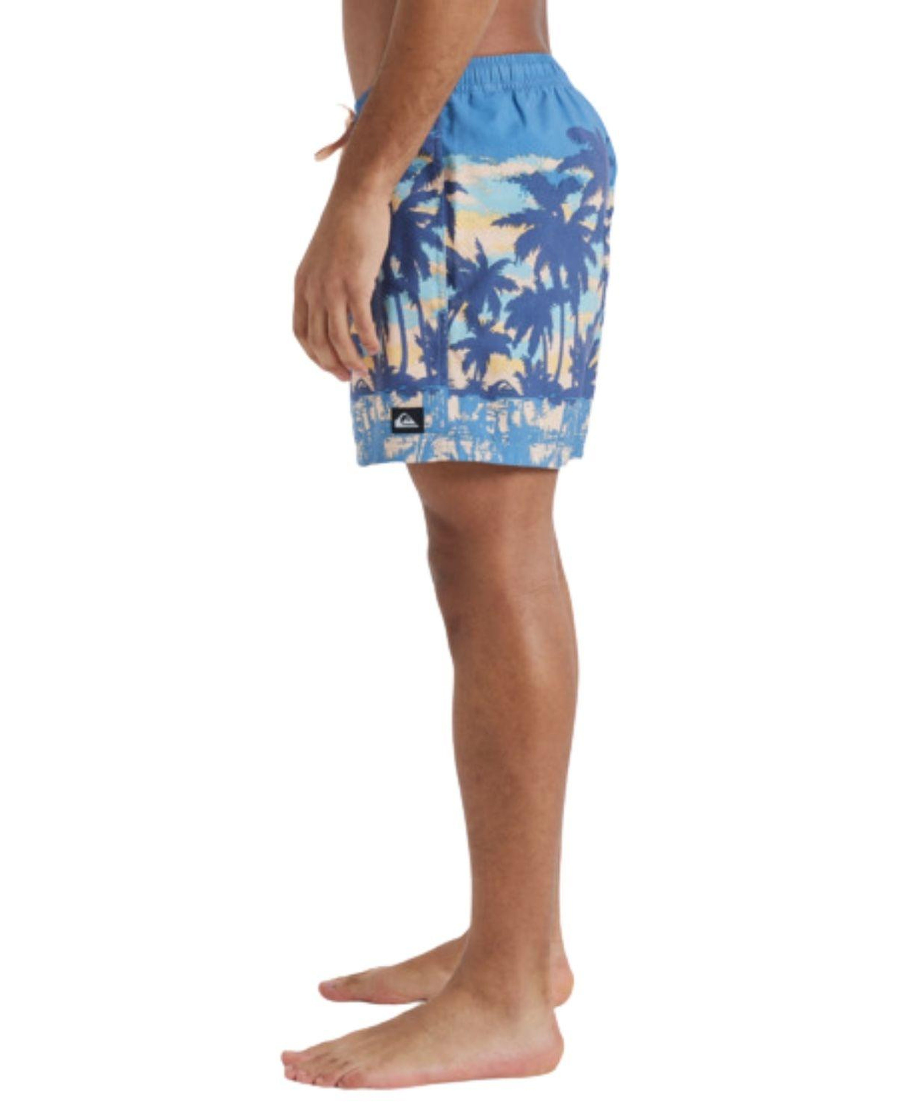 Quiksilver Everyday Straight 15 Erkek Volley Short