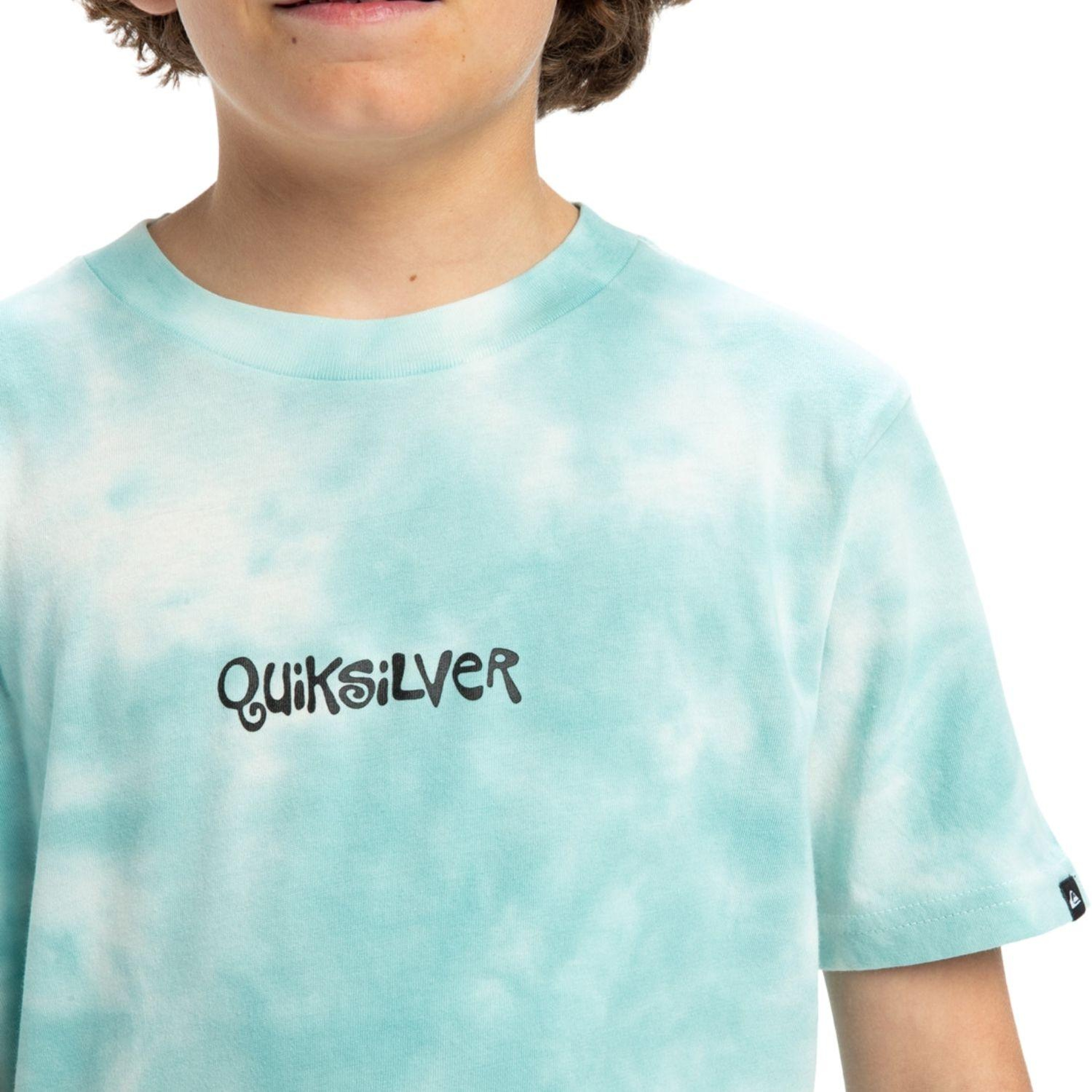 Quiksilver Frog Ritual Youth Erkek Çocuk Mavi Tişört