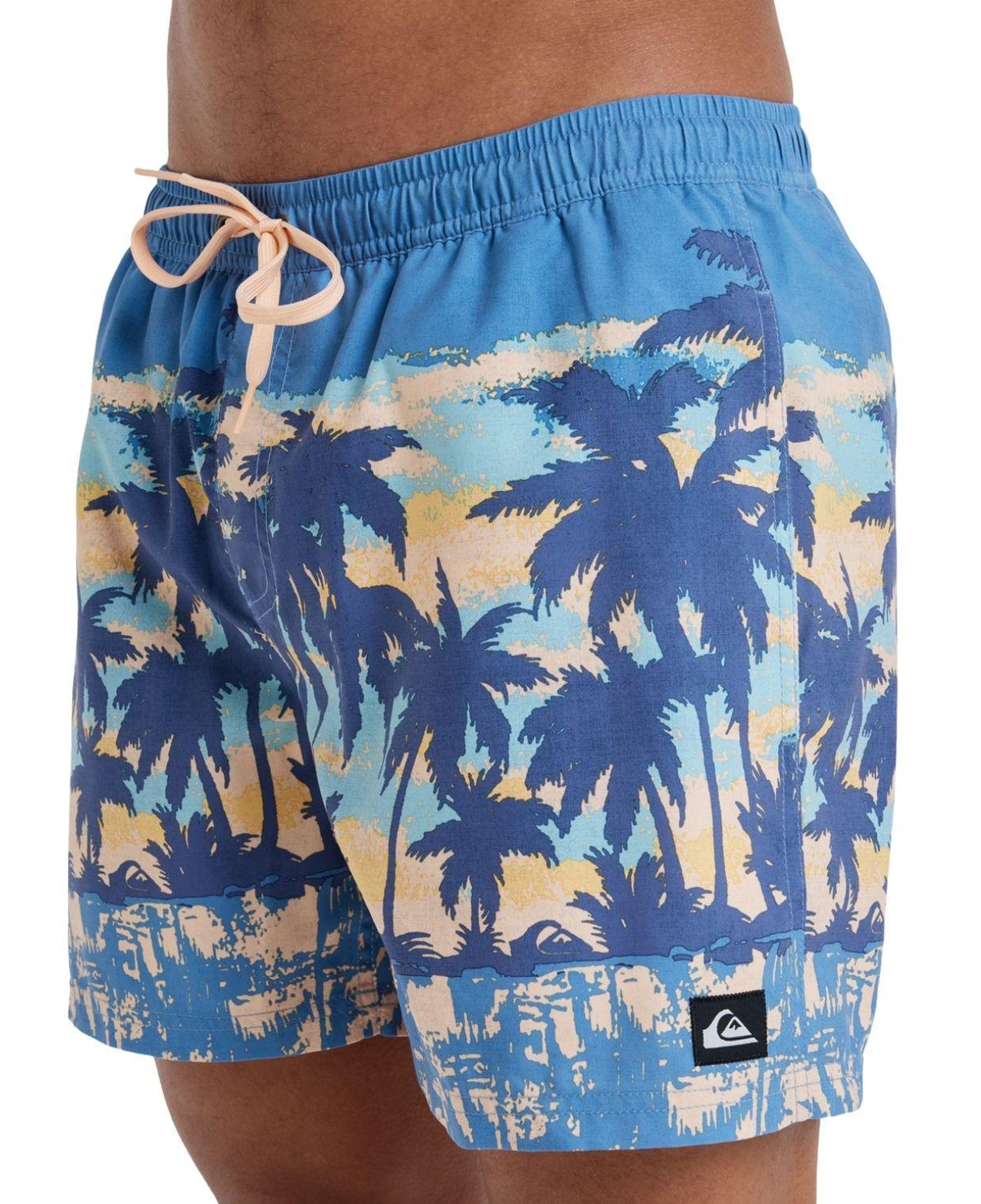 Quiksilver Everyday Straight 15 Erkek Volley Short