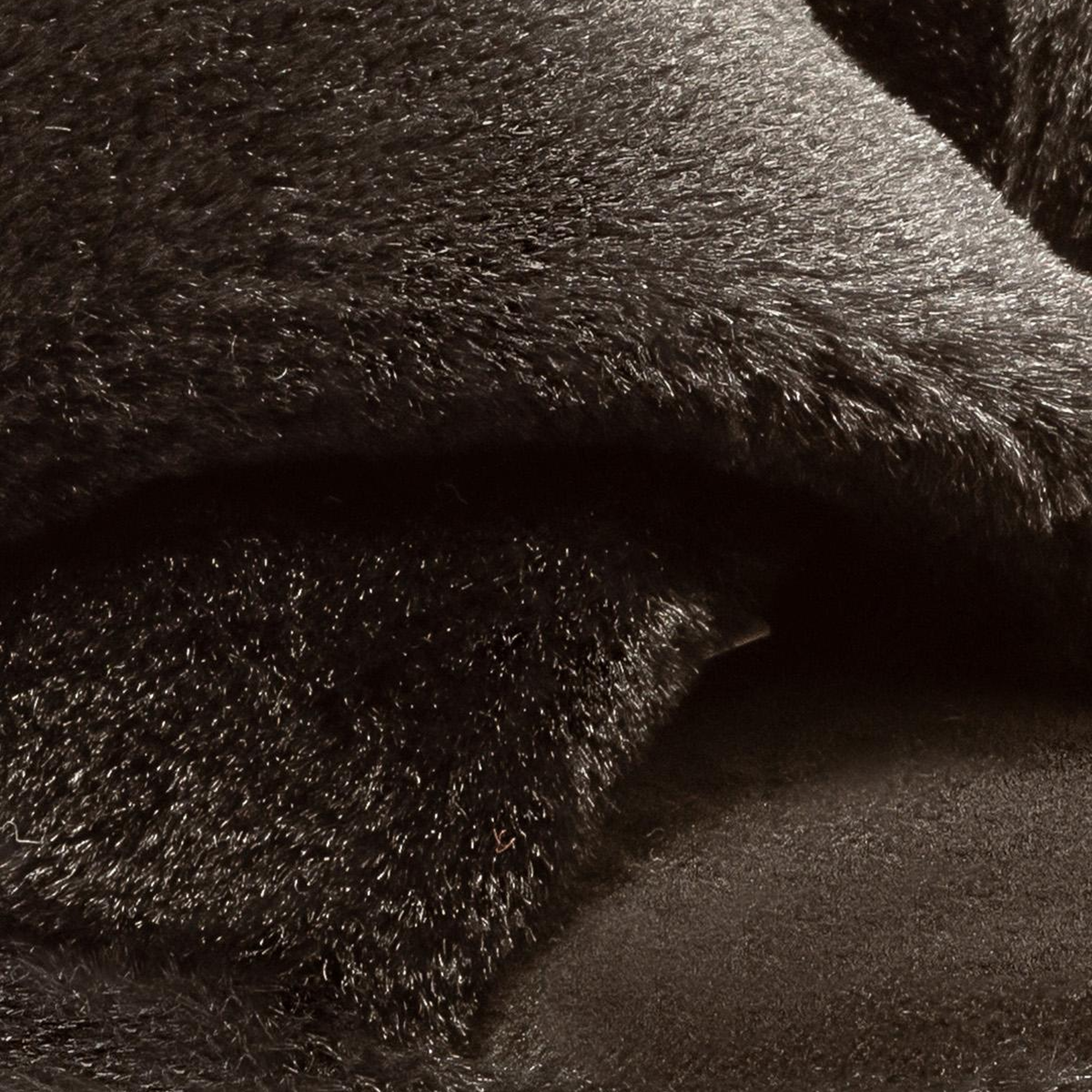 Çapraz Peluş Kadın Ev Terliği Siyah 36/41