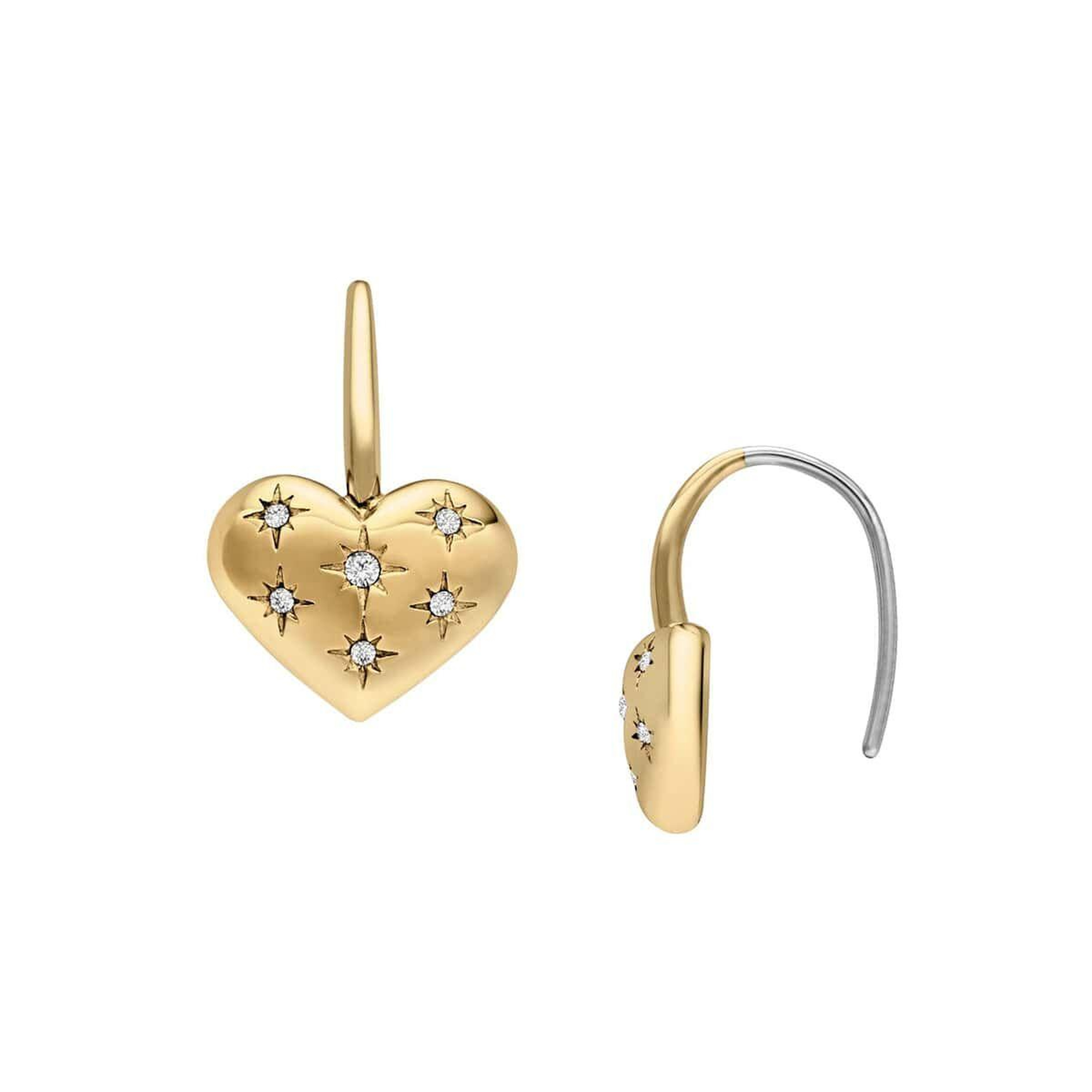 Fossil JF04833-710 Kalpli Kadın Küpe