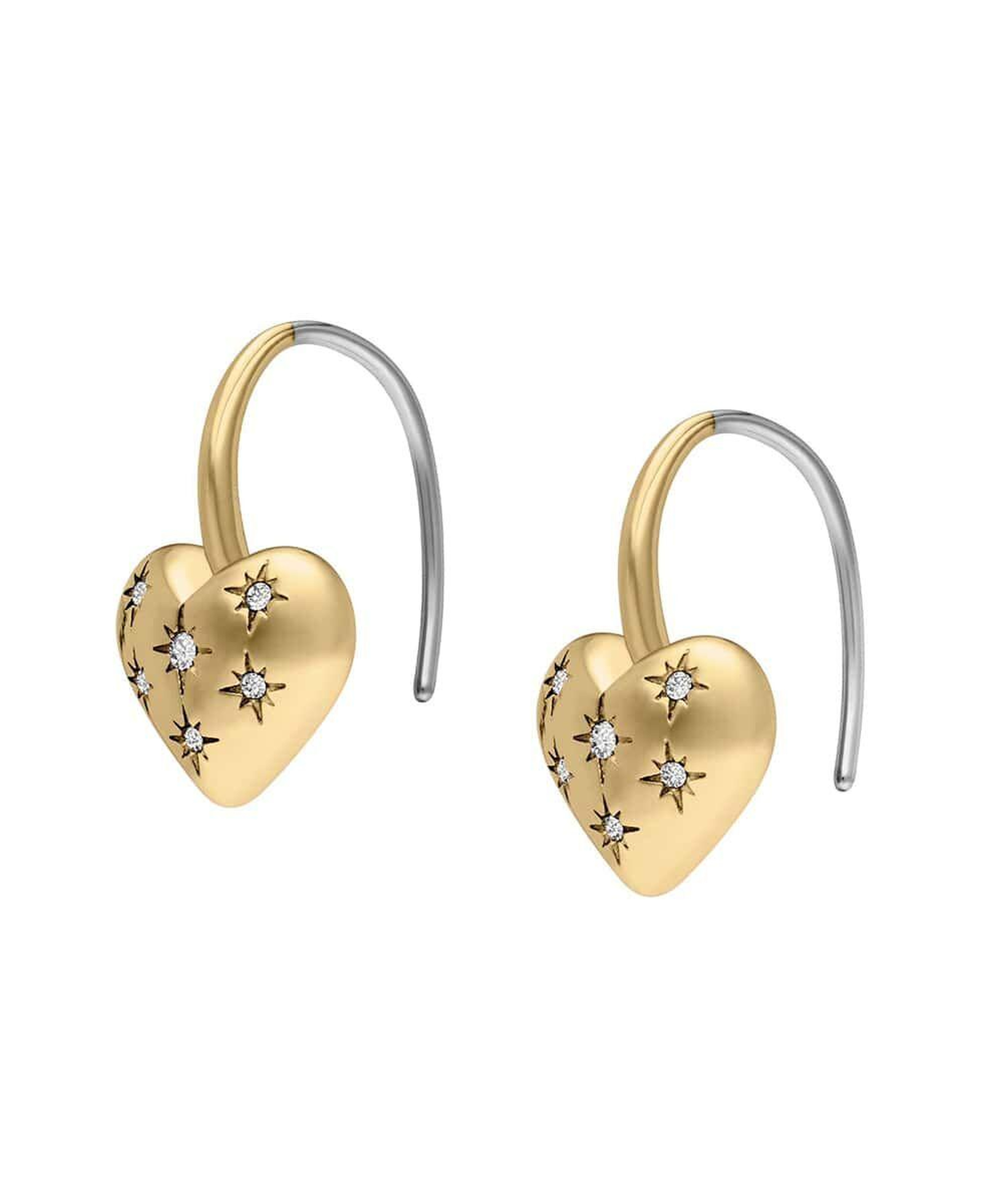 Fossil JF04833-710 Kalpli Kadın Küpe