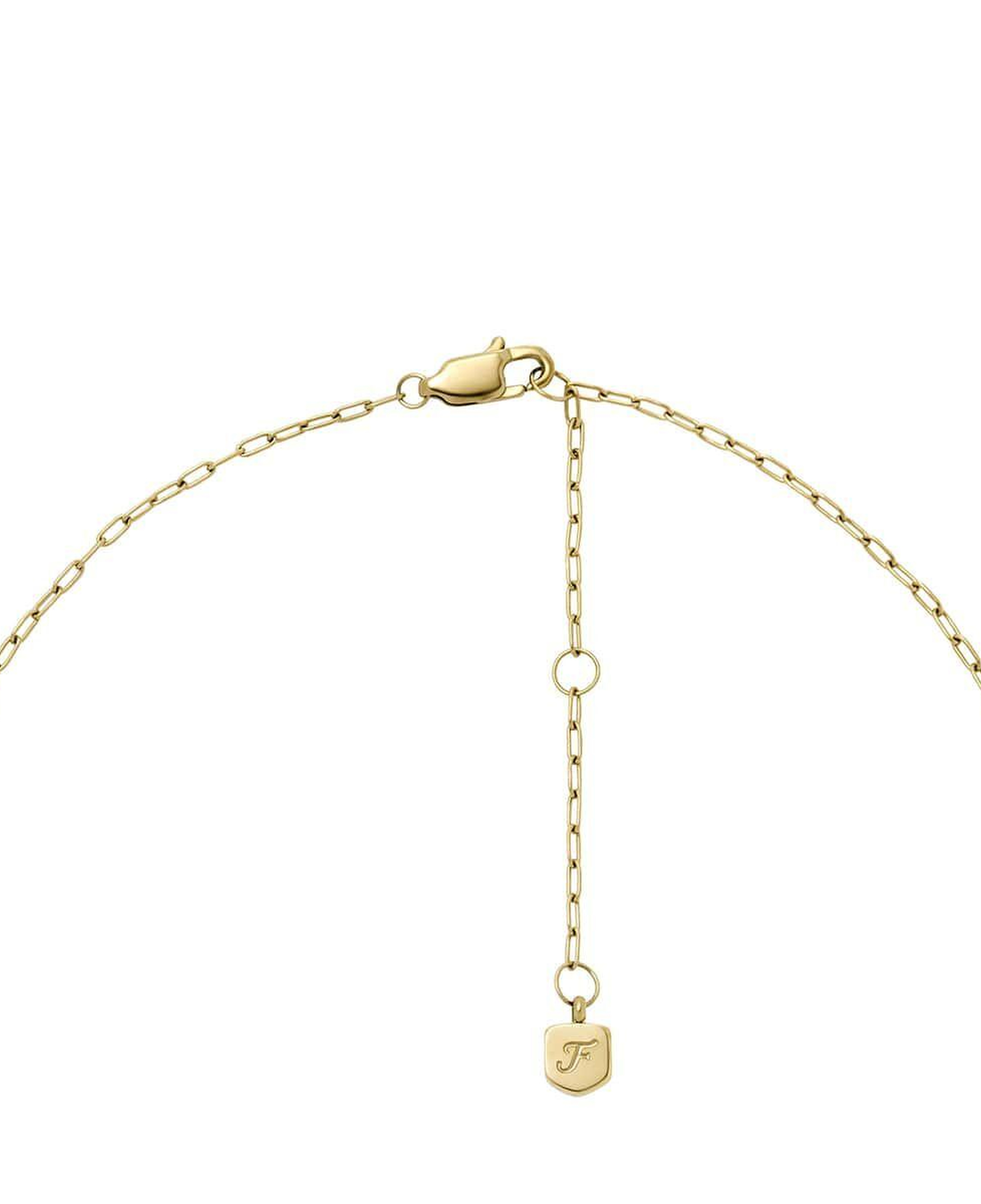 Fossil JF04856-710 Kalpli Kadın Kolye