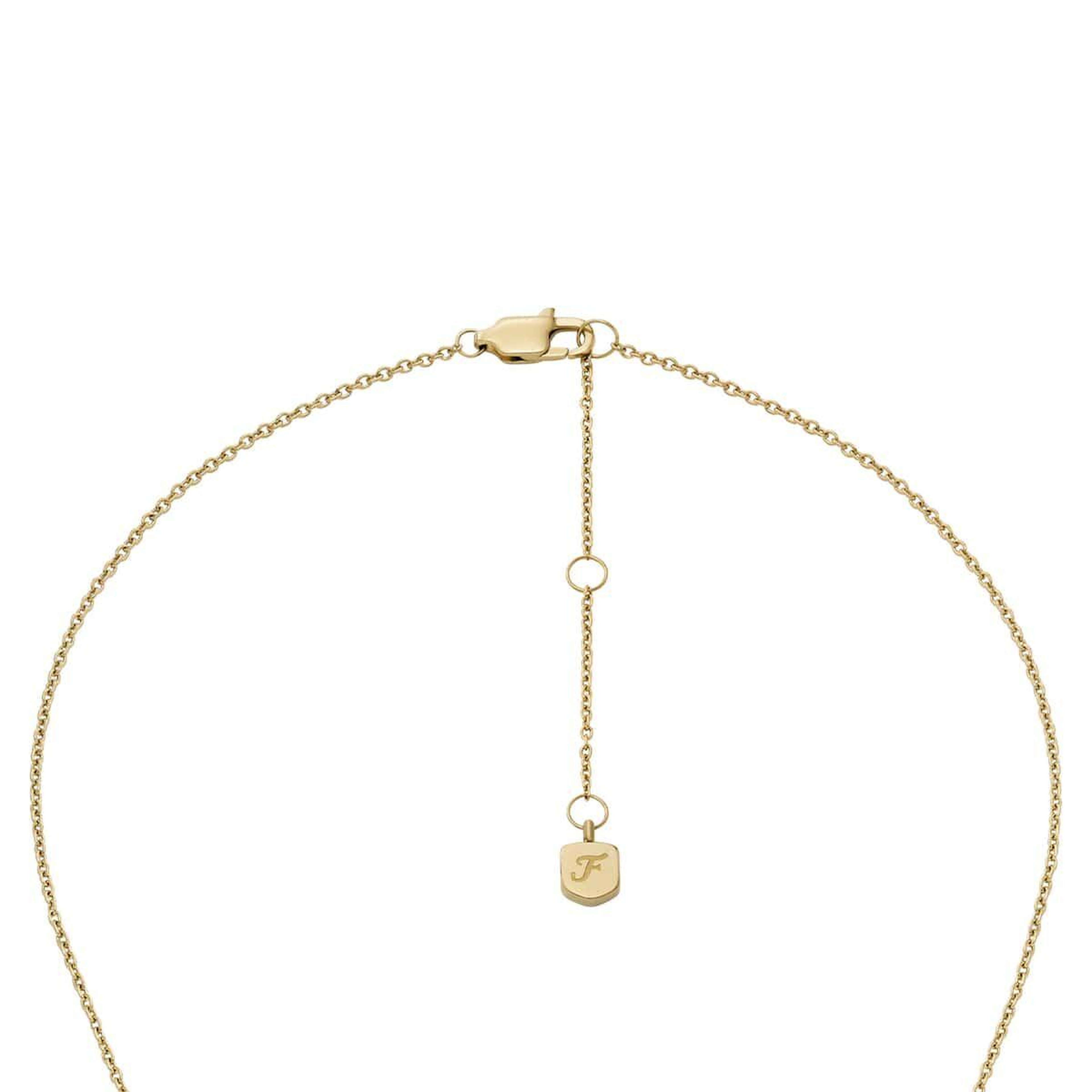 Fossil JF04881SET Kalpli Kadın Kolye ve Küpe Seti