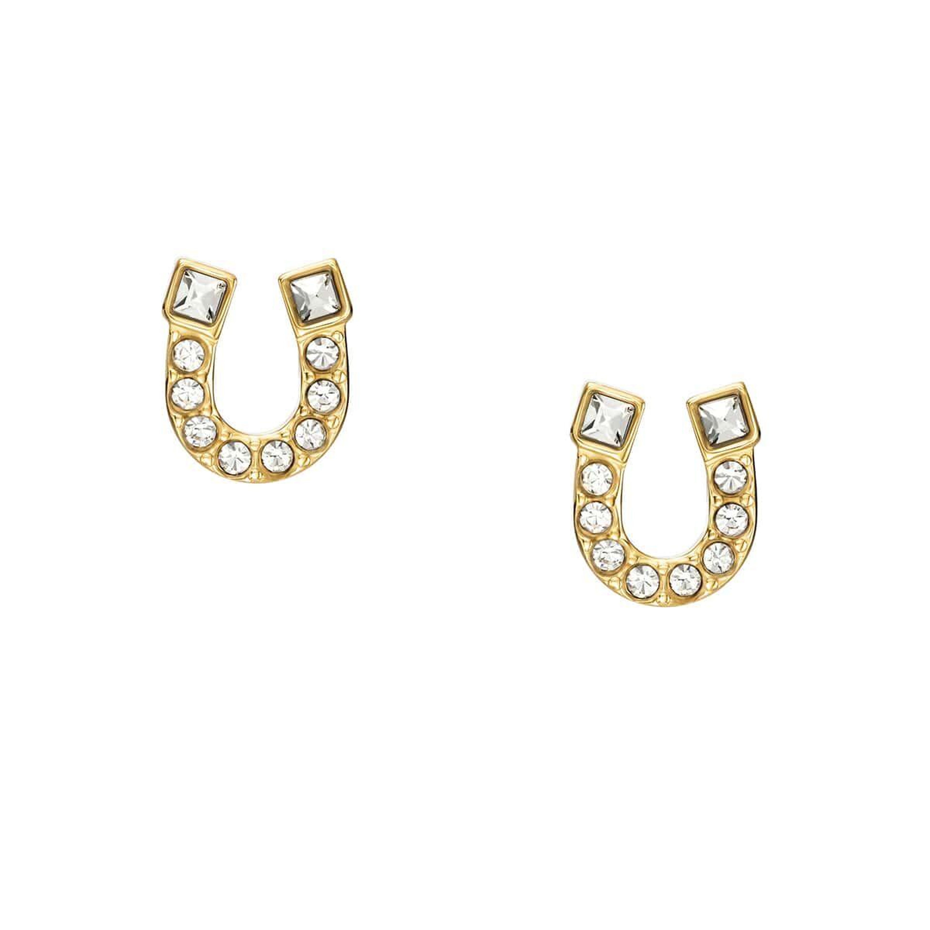 Fossil JF04908-710 Kadın Küpe