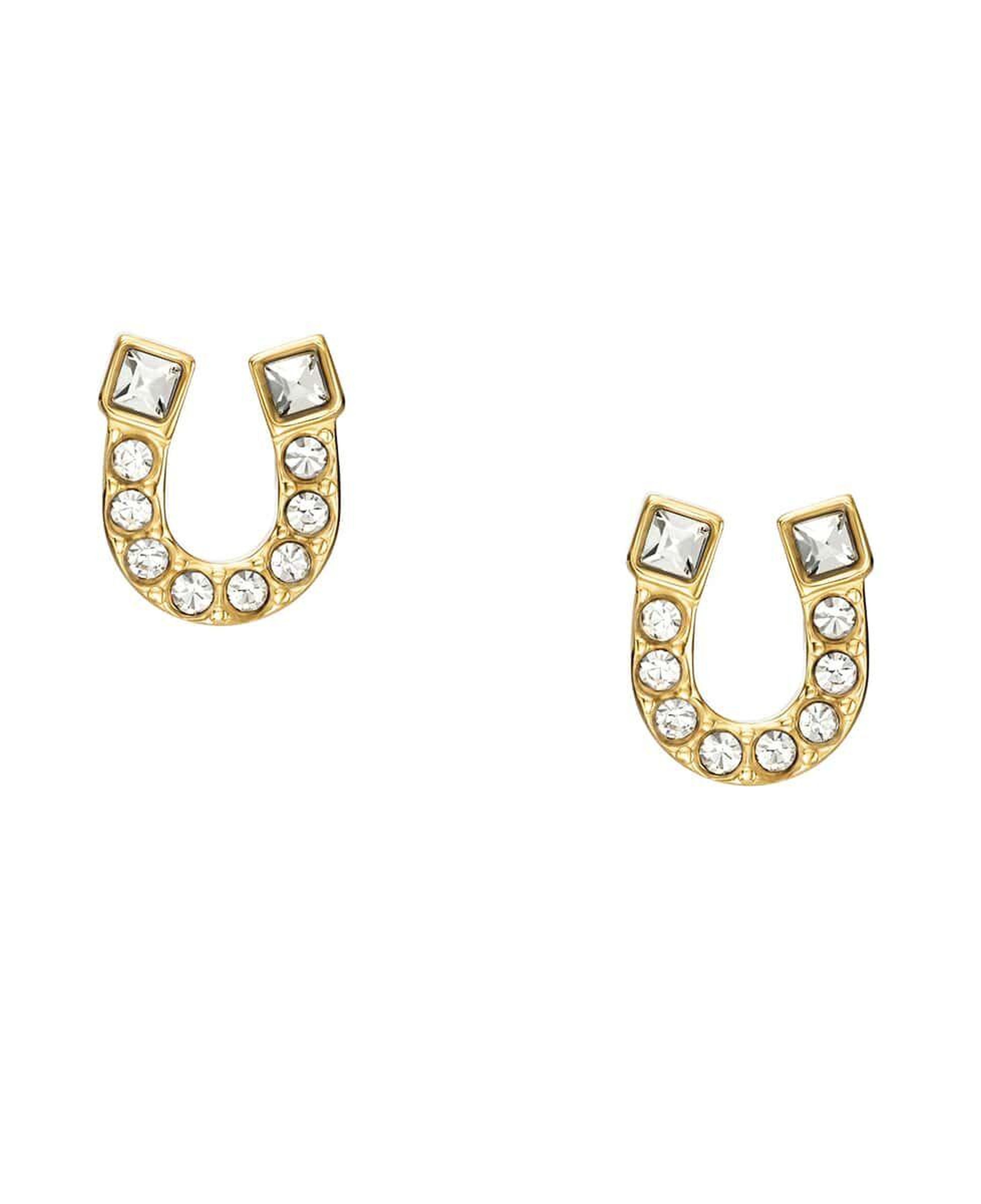 Fossil JF04908-710 Kadın Küpe