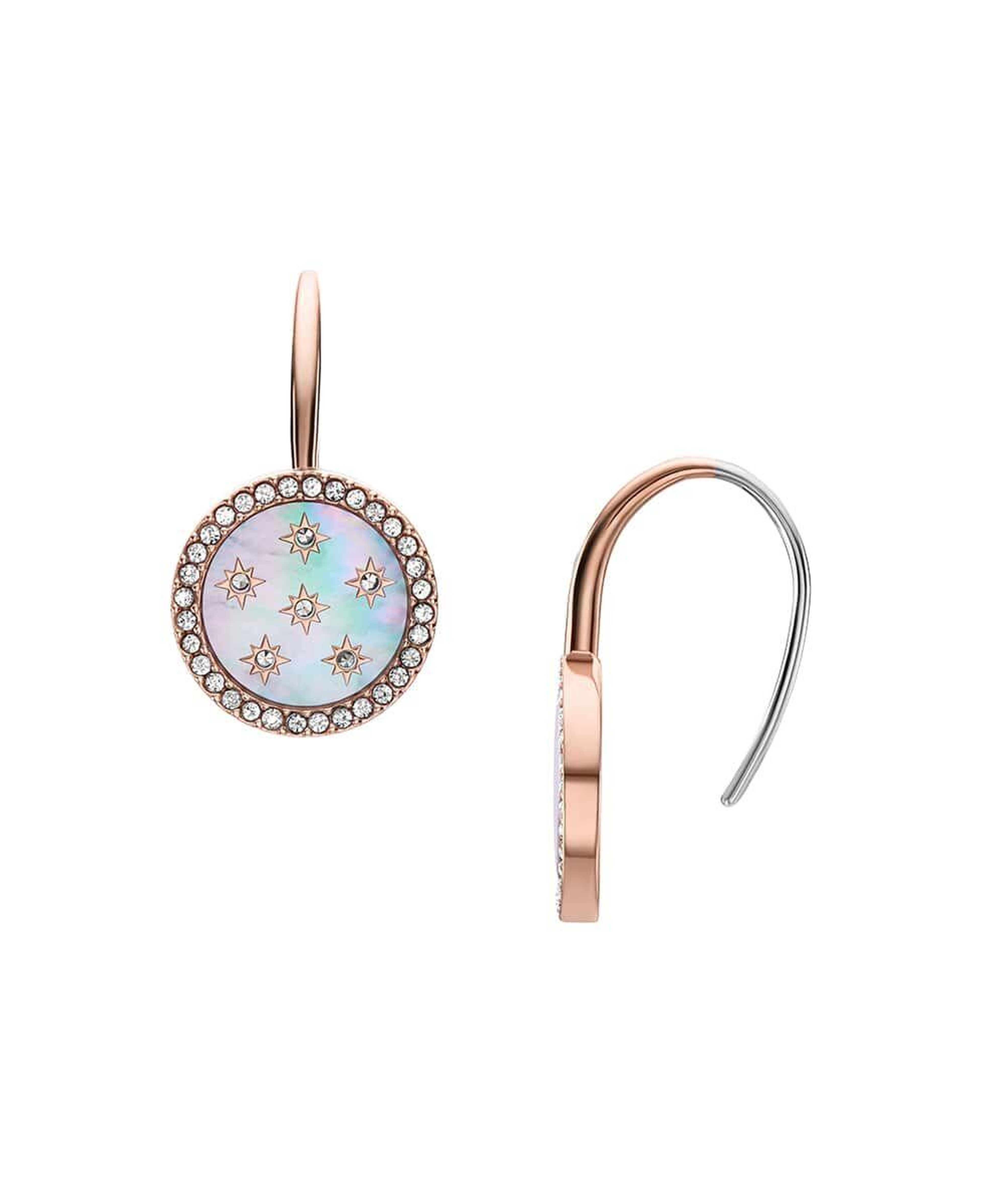 Fossil JF04938-791 Kadın Küpe