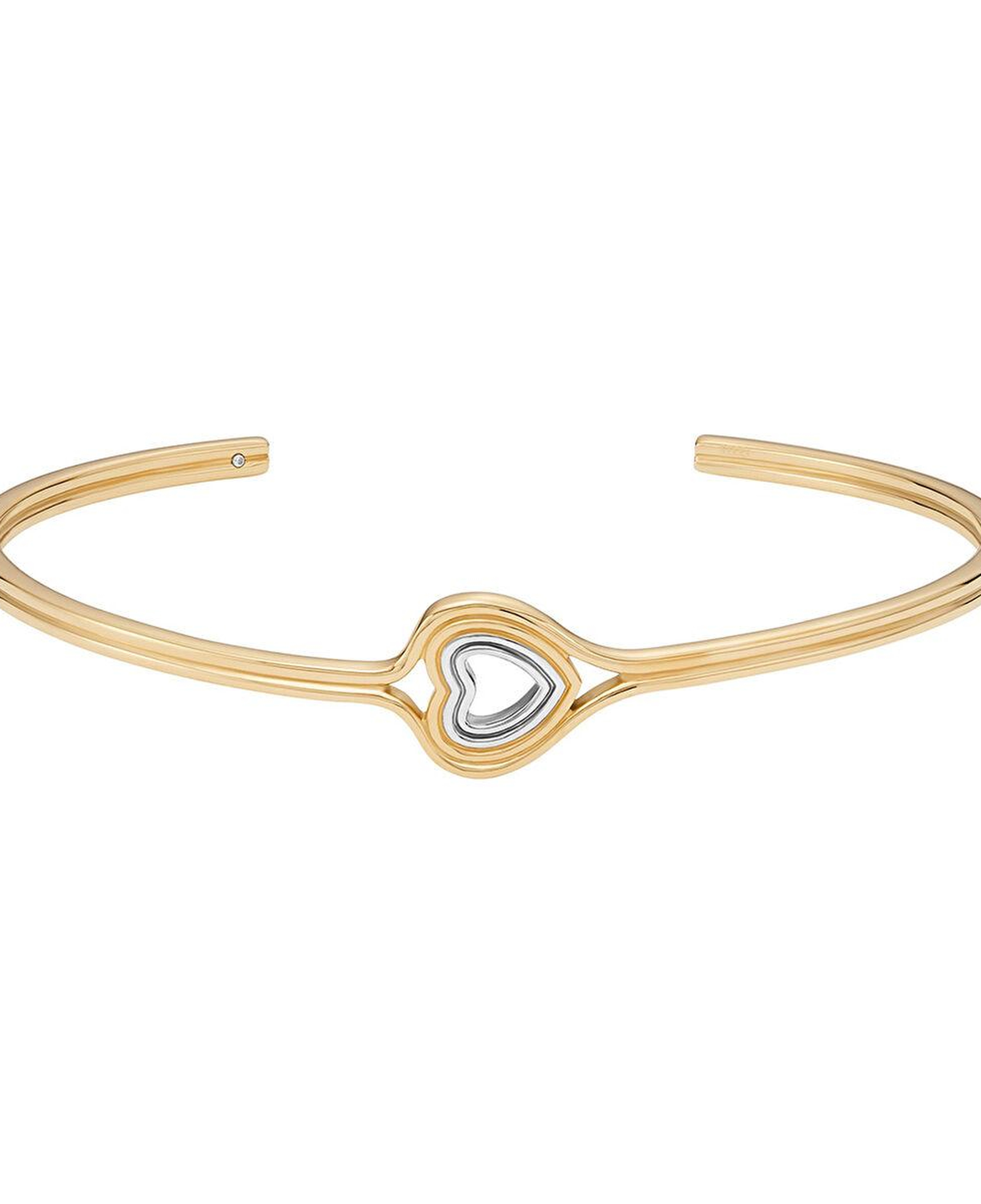 Skagen SKJ1678-998 Kalpli Kadın Bileklik