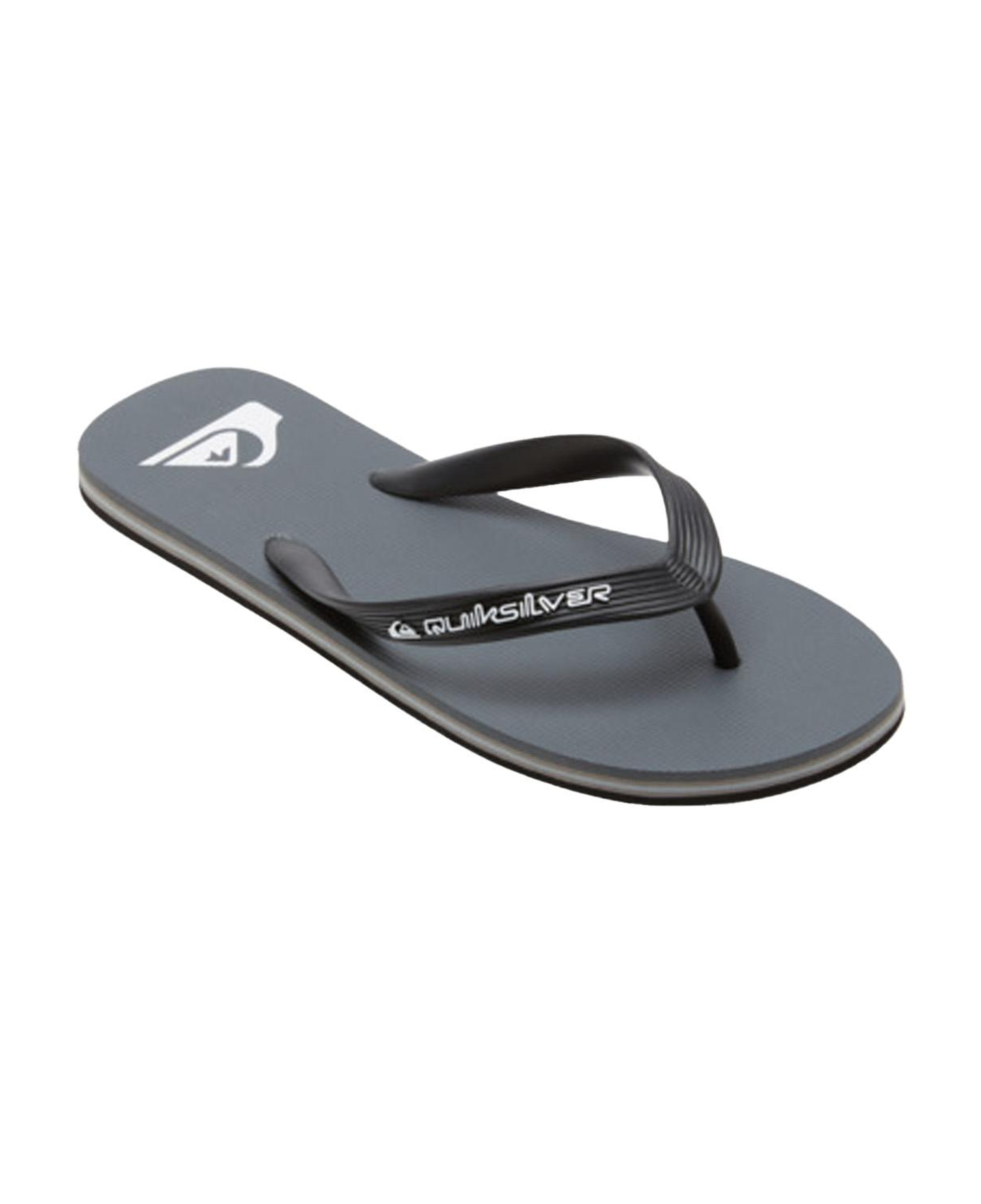 Quiksilver Molokai Core Erkek Gri Terlik