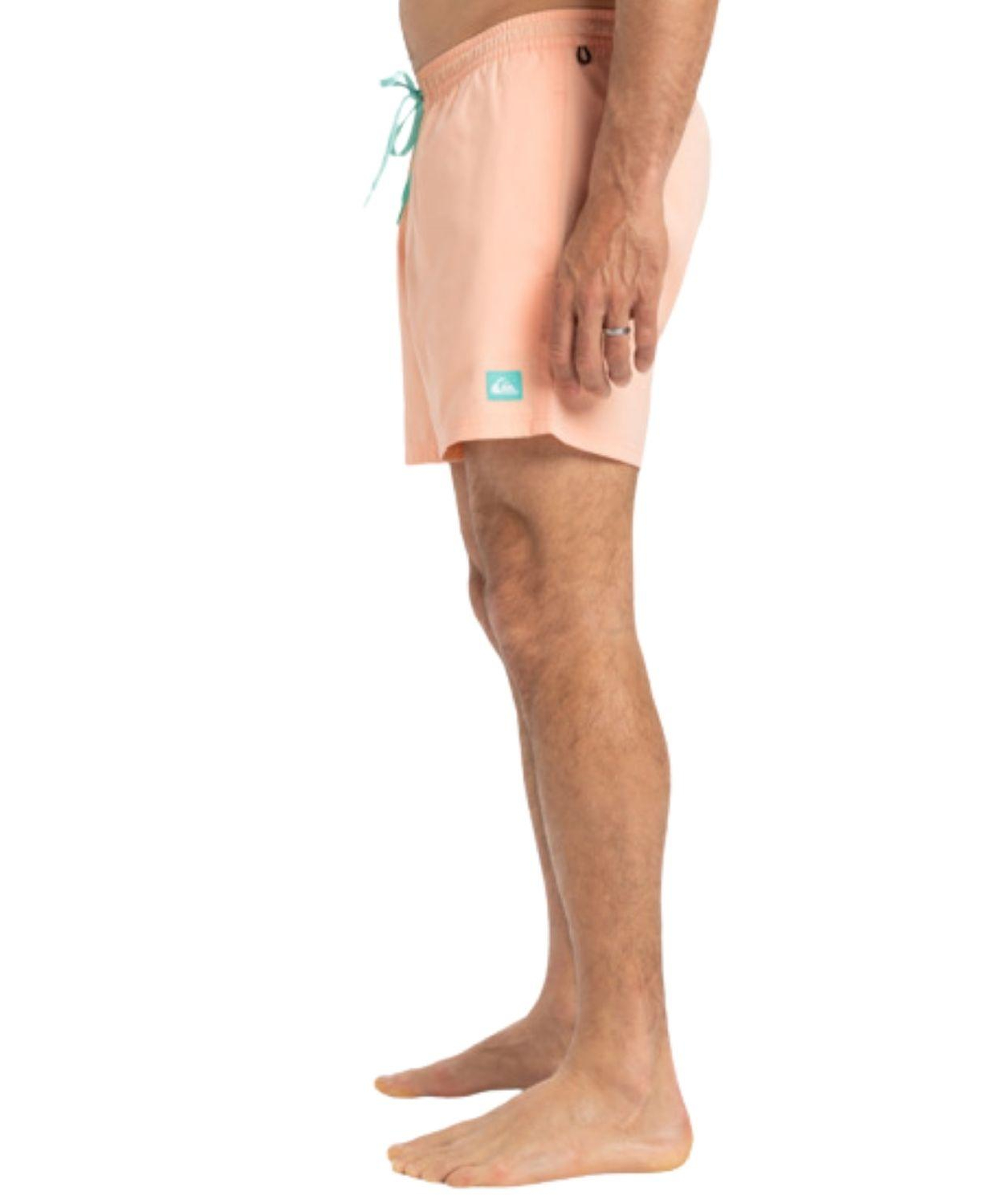 Quiksilver Everyday Solid 15 Erkek Volley Short
