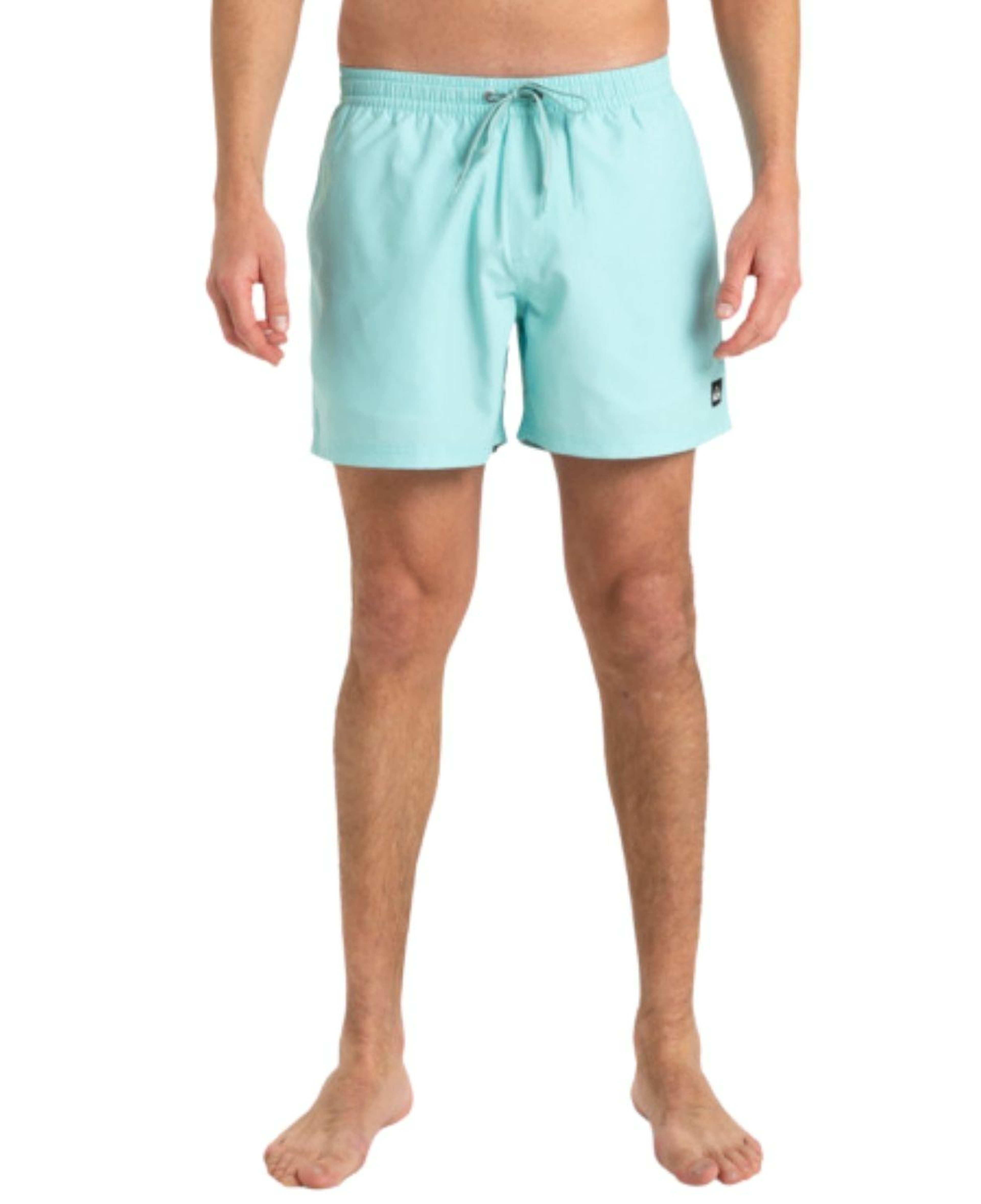 Quiksilver Everyday Solid 15 Erkek Mavi Volley Short