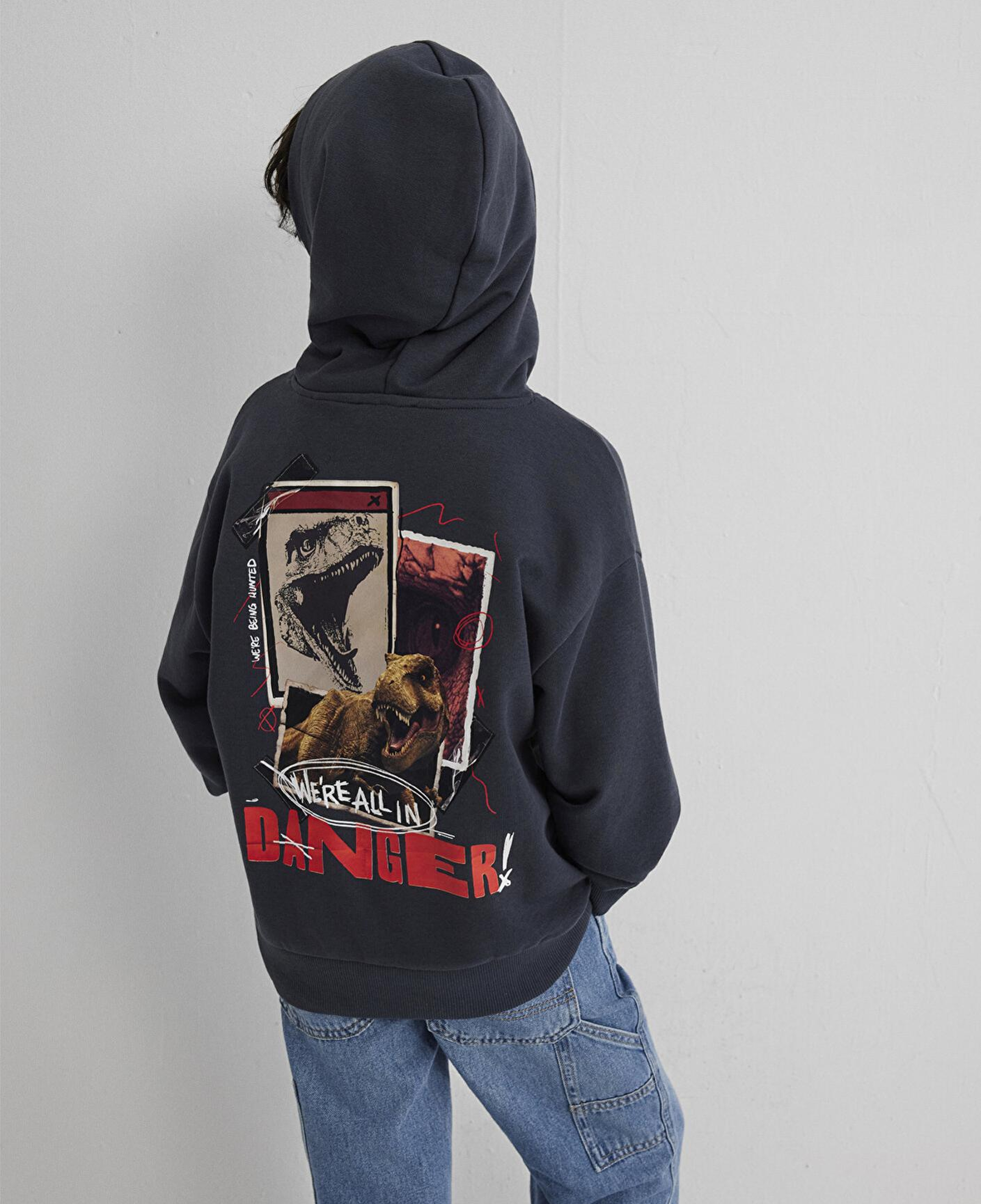 Mavi Jurassic Park Baskılı Antrasit Sweatshirt 6S10135-70087