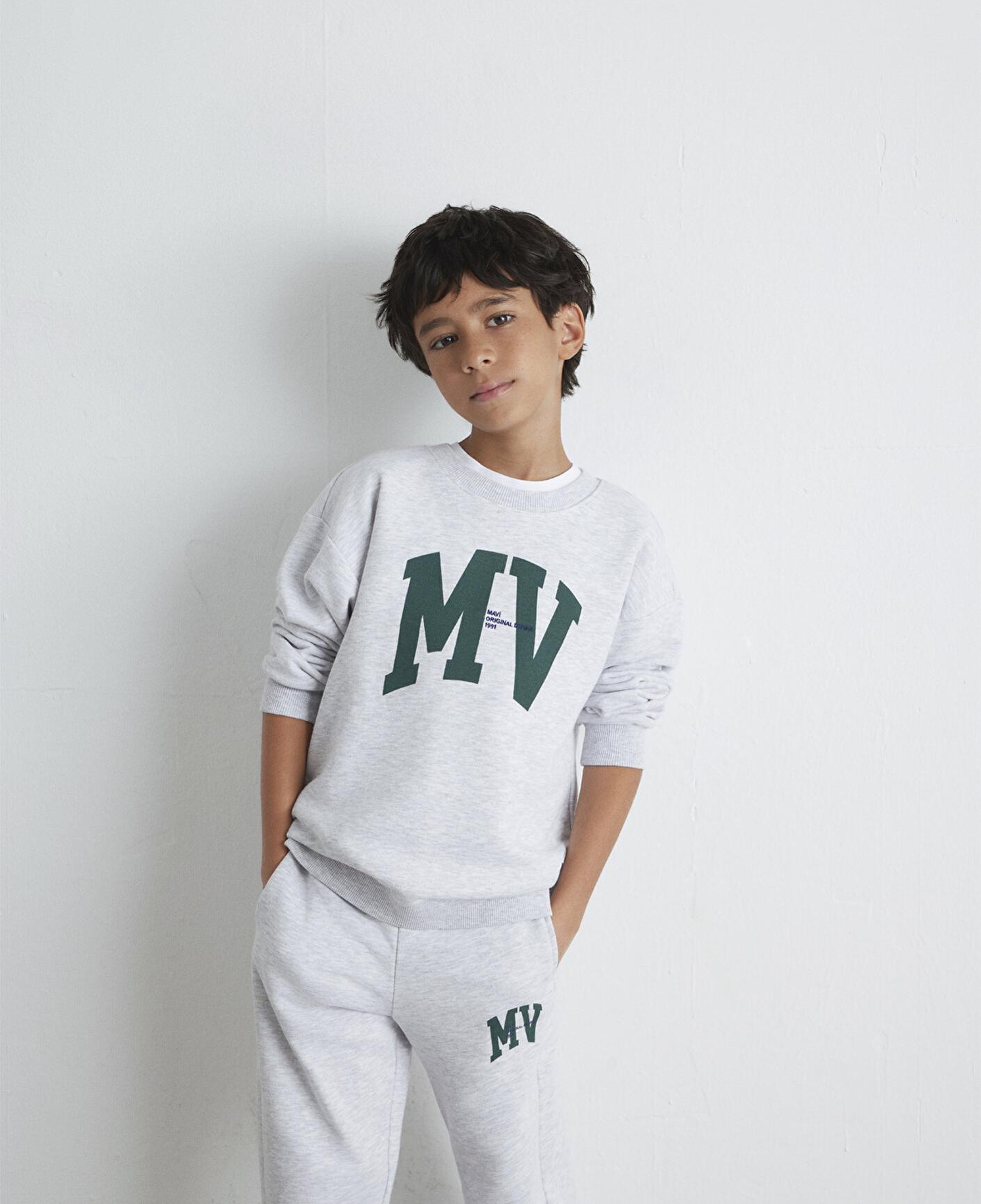 Mavi MV Baskılı Gri Sweatshirt 6S10054-88467