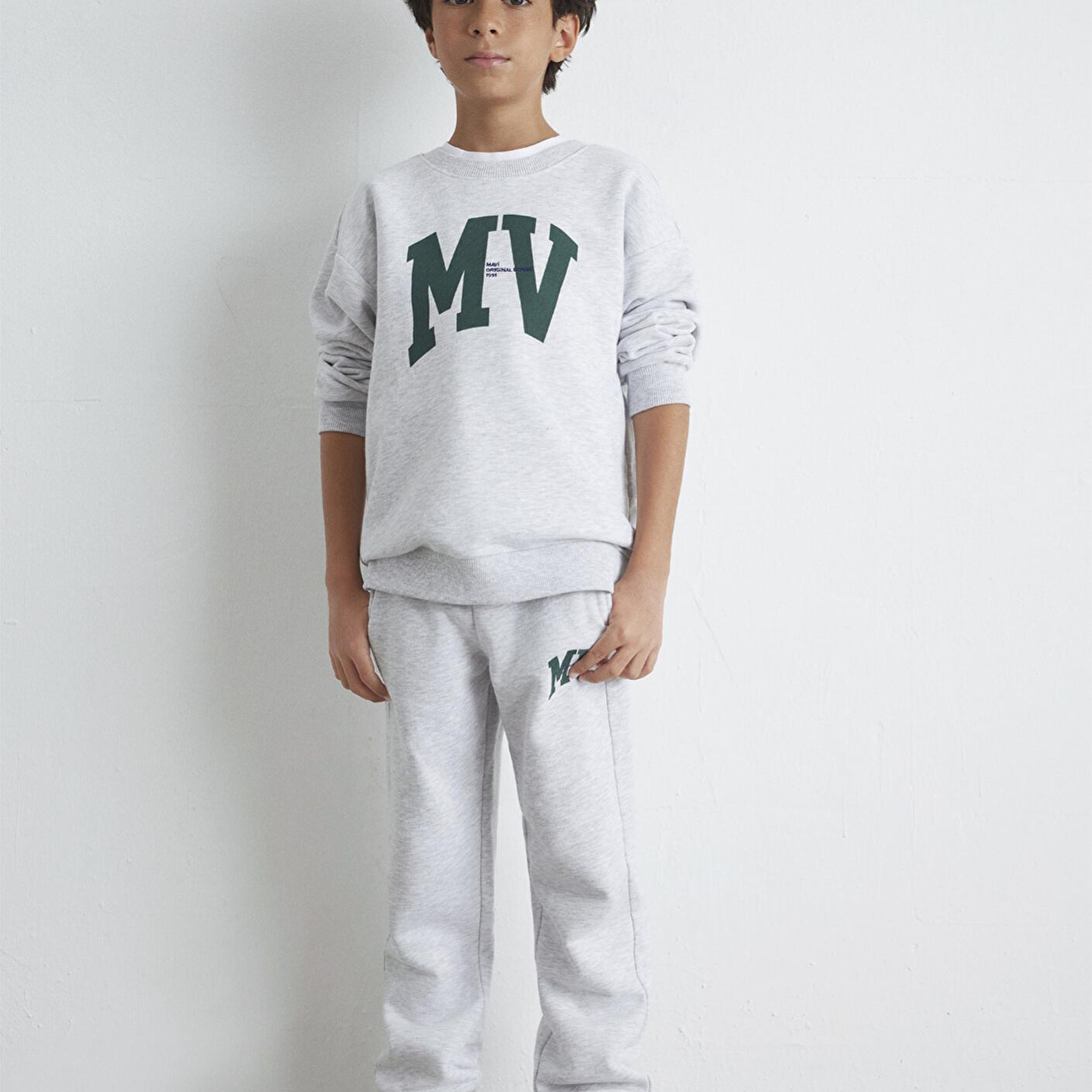 Mavi MV Baskılı Gri Sweatshirt 6S10054-88467