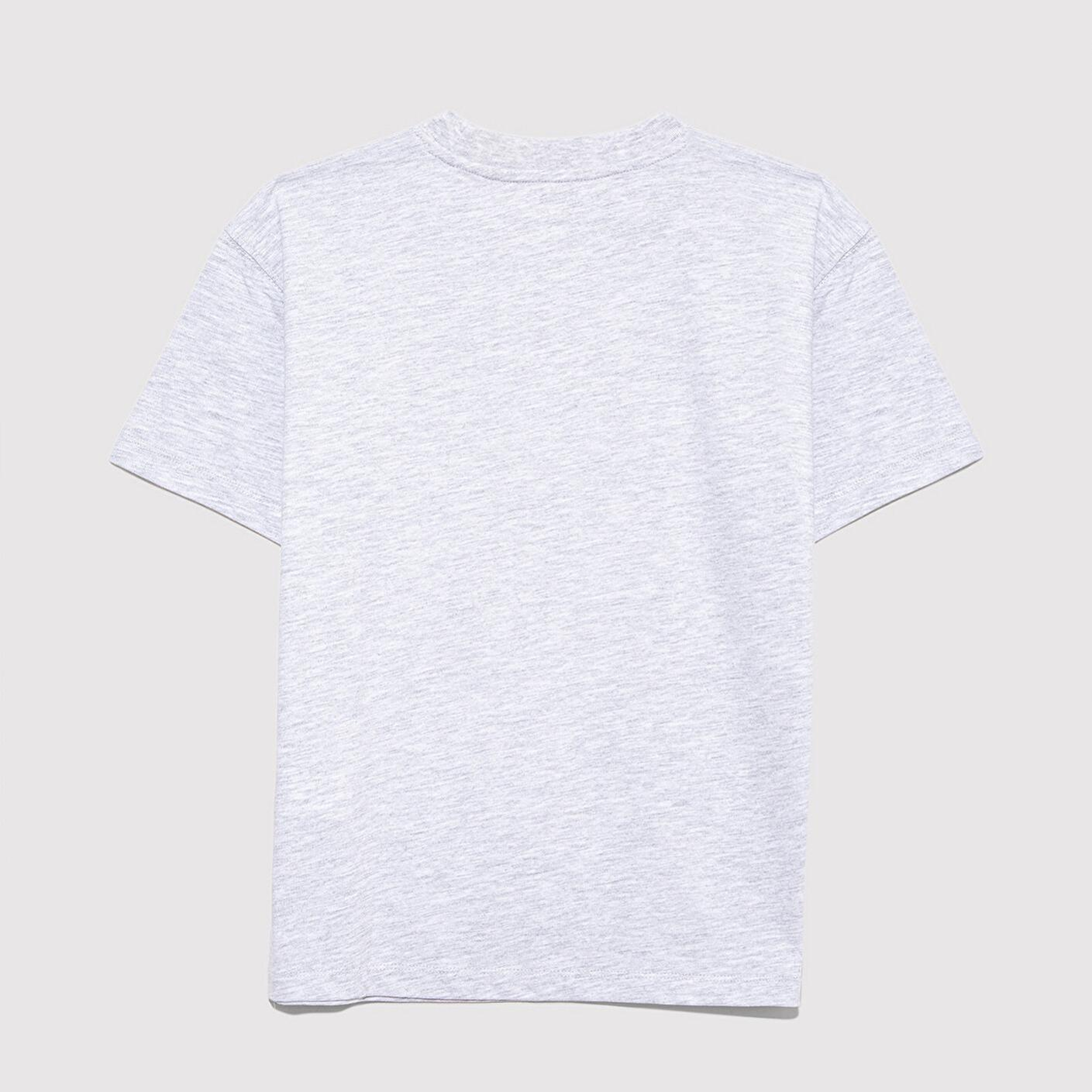 Mavi Baskılı Gri Tişört Loose Fit / Bol Rahat Kesim 6610359-88467