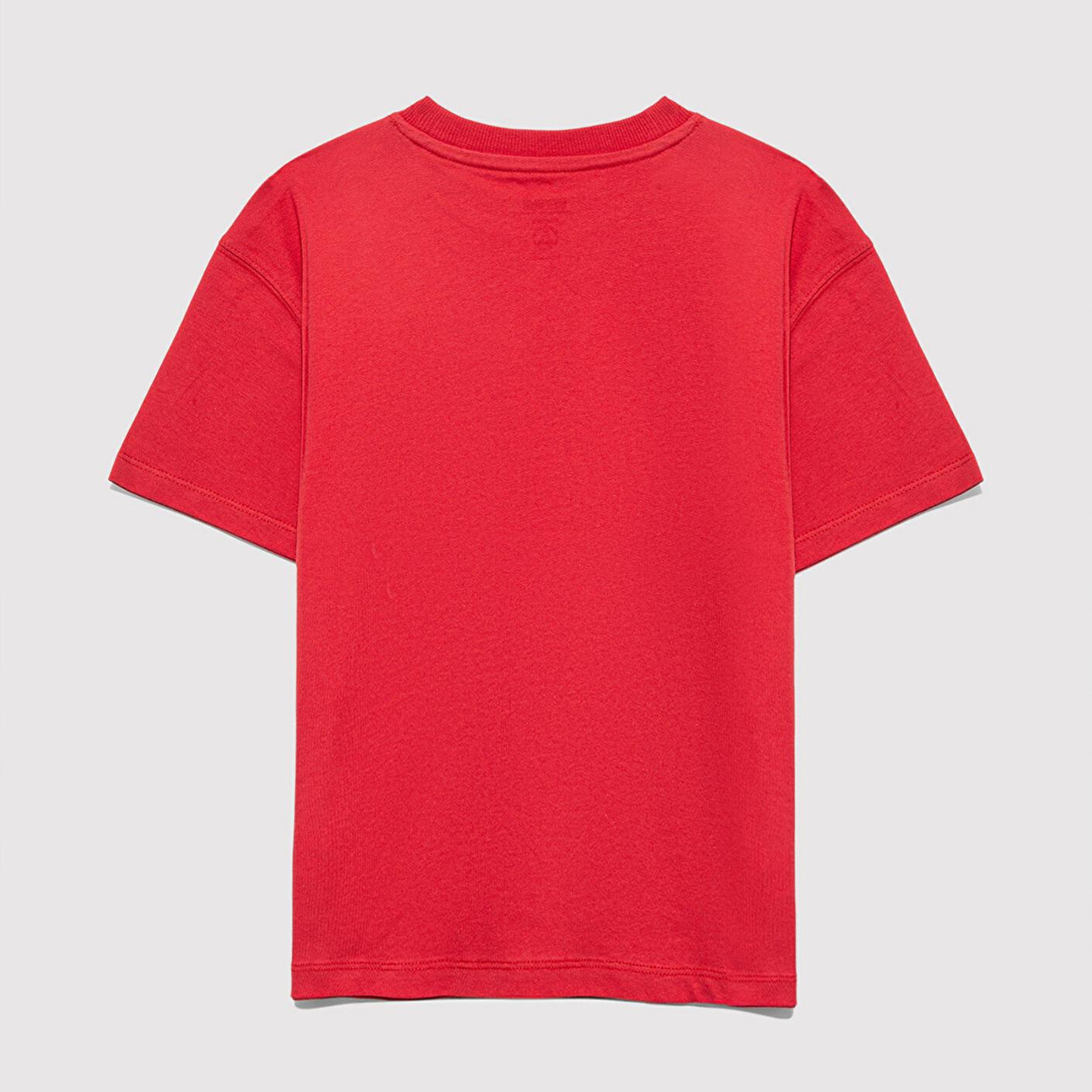 Mavi Baskılı Kırmızı Tişört Loose Fit / Bol Rahat Kesim 6610358-85905