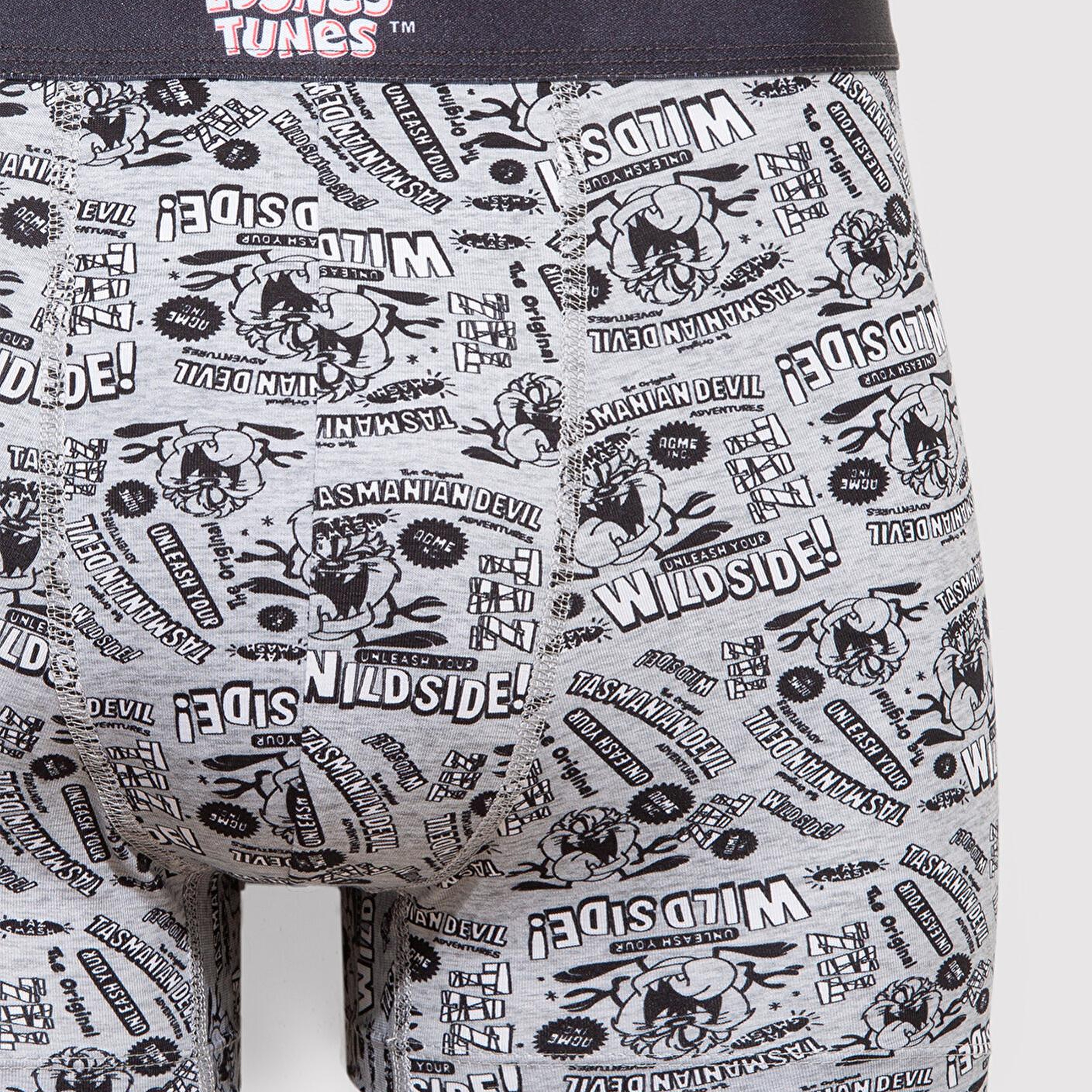 Mavi Tazmanya Canavarı Baskılı Gri Boxer 0911983-24386