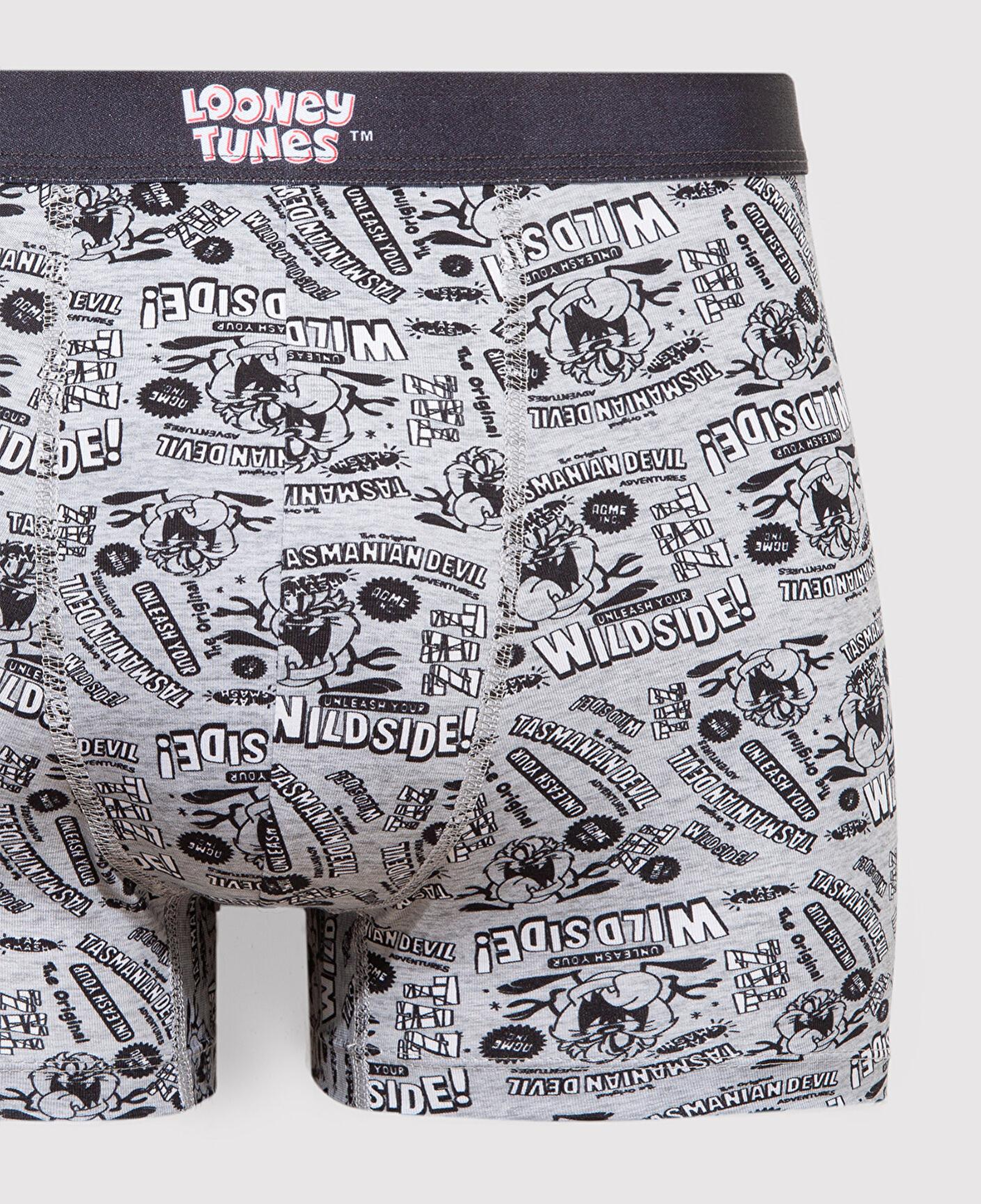 Mavi Tazmanya Canavarı Baskılı Gri Boxer 0911983-24386