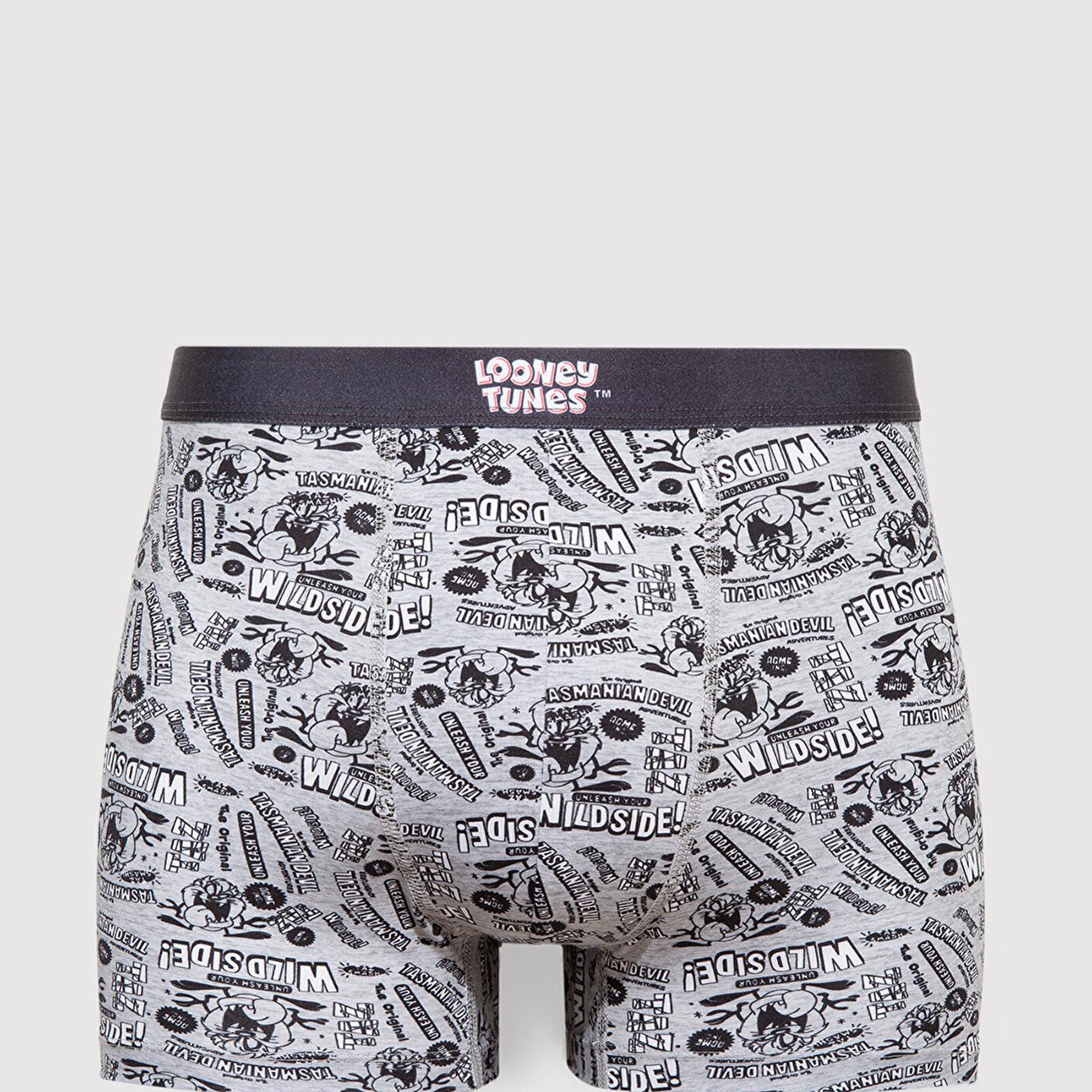 Mavi Tazmanya Canavarı Baskılı Gri Boxer 0911983-24386