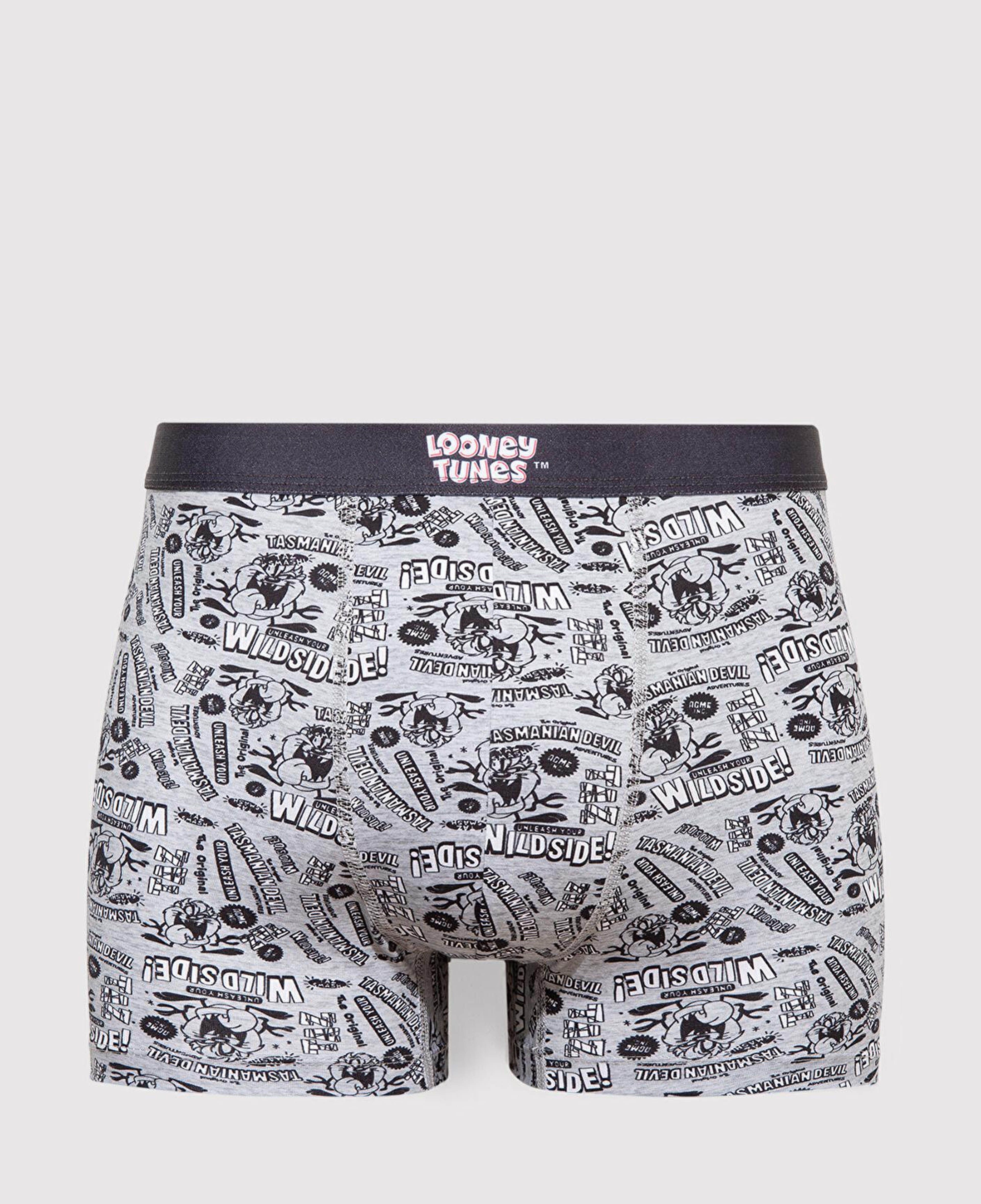 Mavi Tazmanya Canavarı Baskılı Gri Boxer 0911983-24386