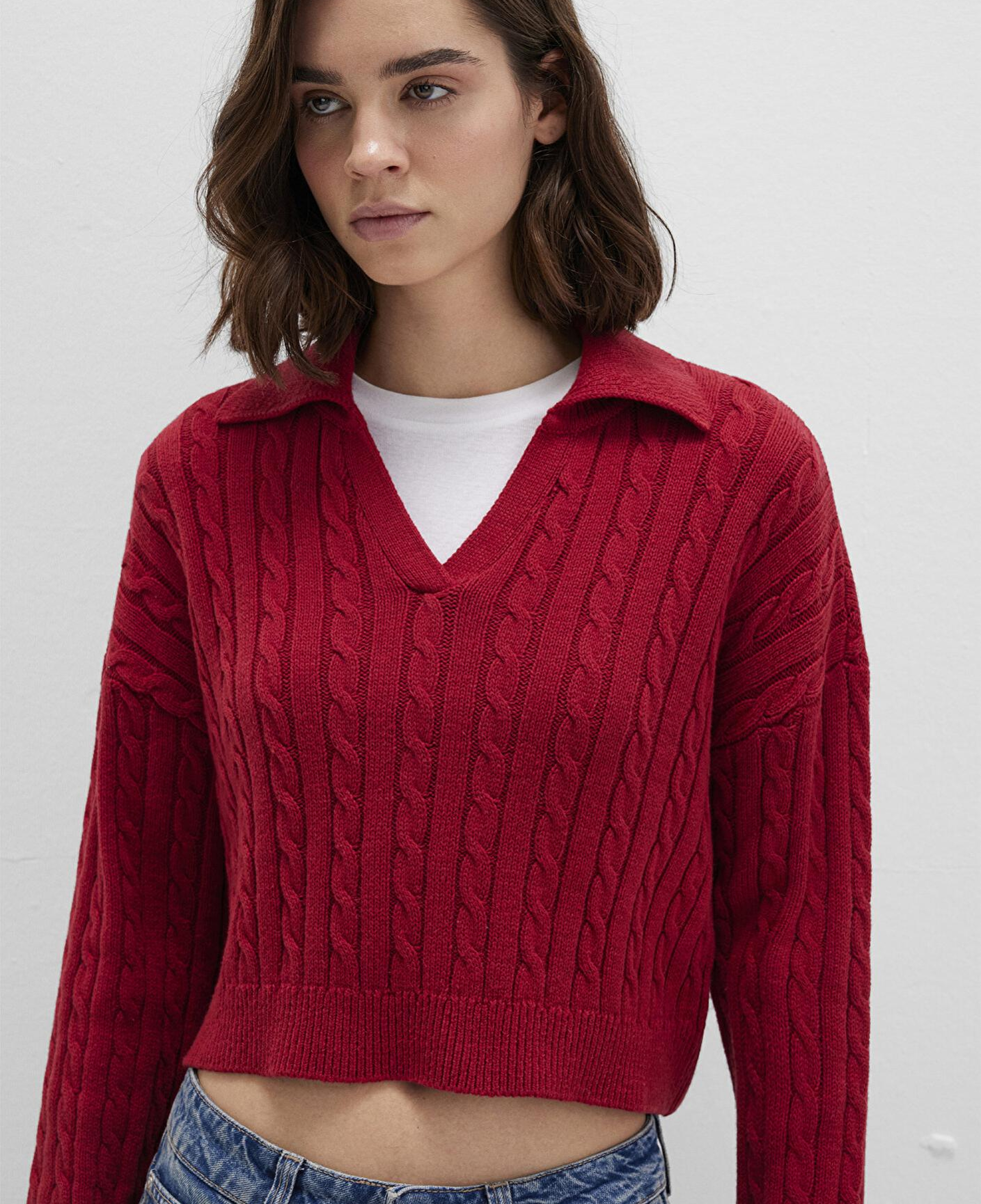 Mavi Kırmızı Triko Polo 1710717-70391