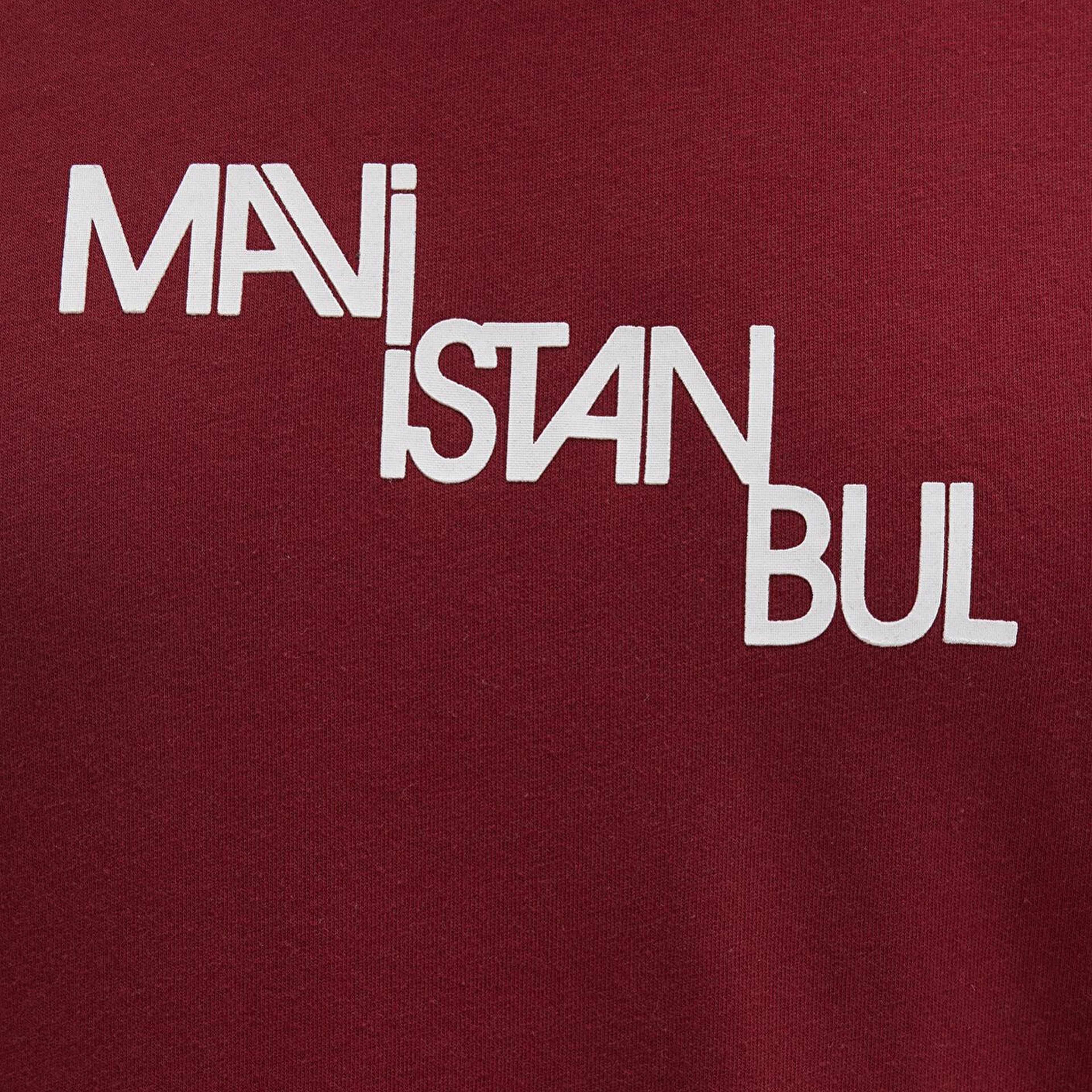 Mavi Mavi İstanbul Baskılı Kırmızı Tişört Regular Fit / Normal Kesim 0612274-89065