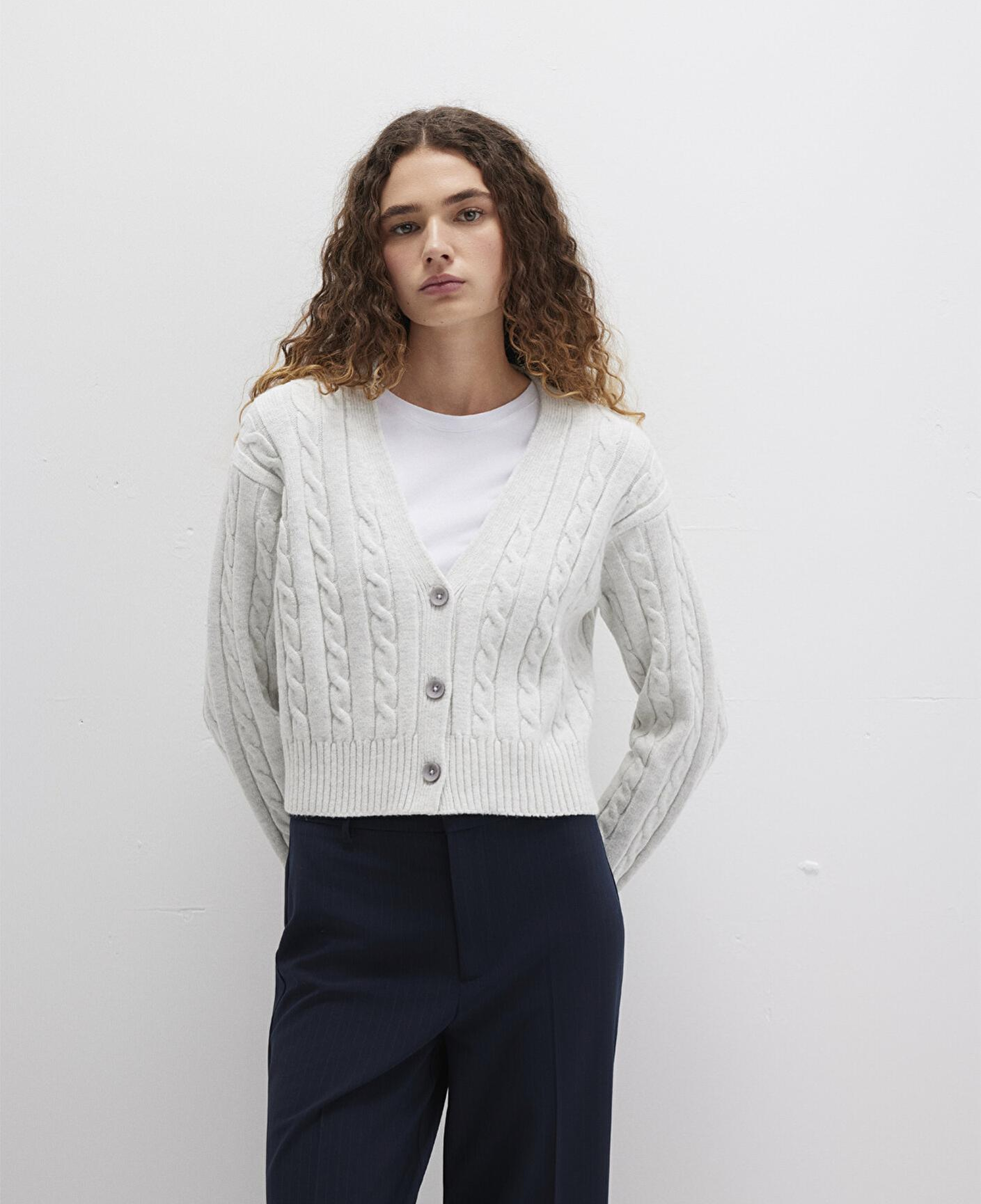 Mavi Düğmeli Gri Hırka Regular Fit / Normal Kesim 1710576-88467