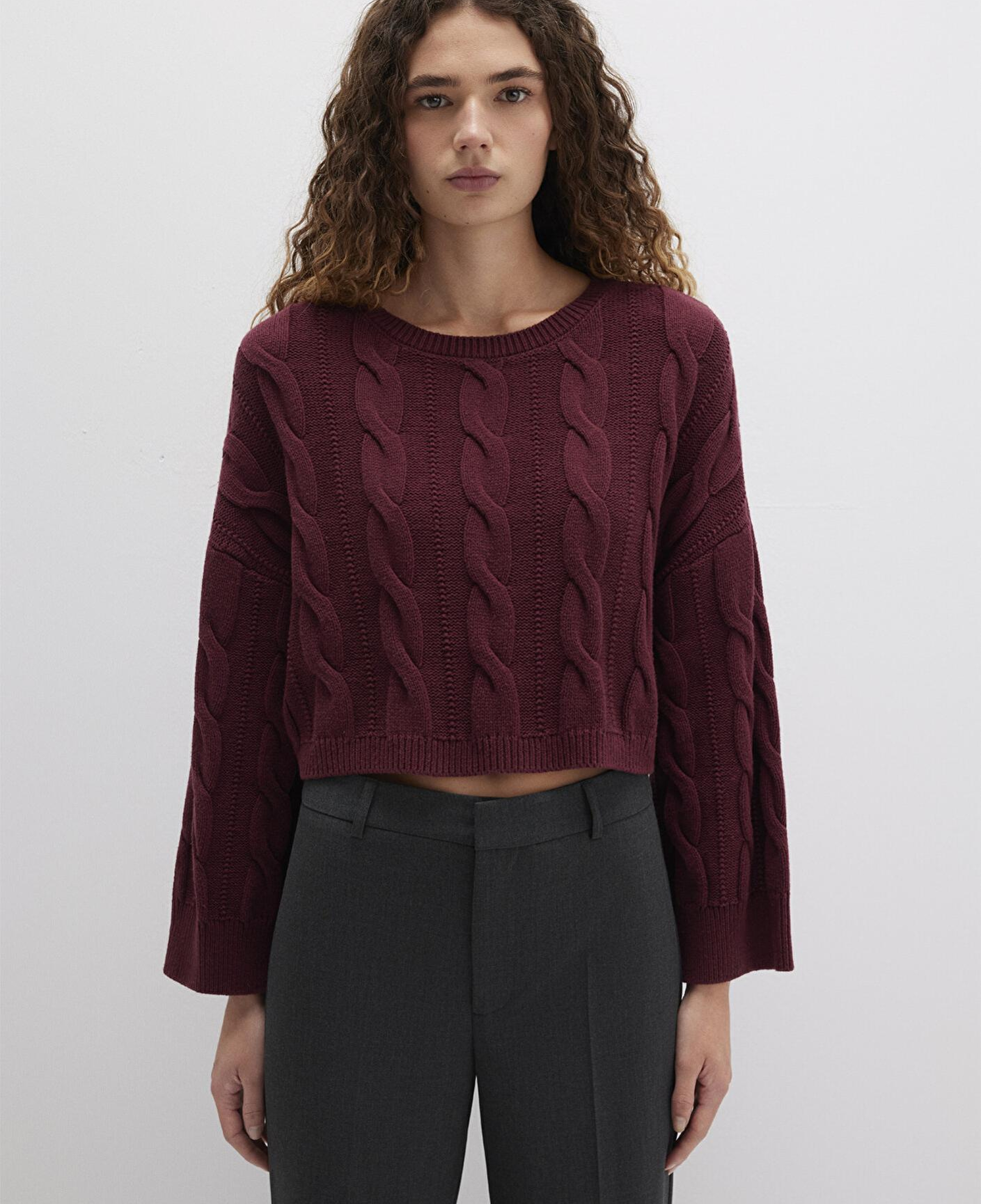 Mavi Bisiklet Yaka Bordo Kazak Crop / Kısa Kesim 1710477-70415