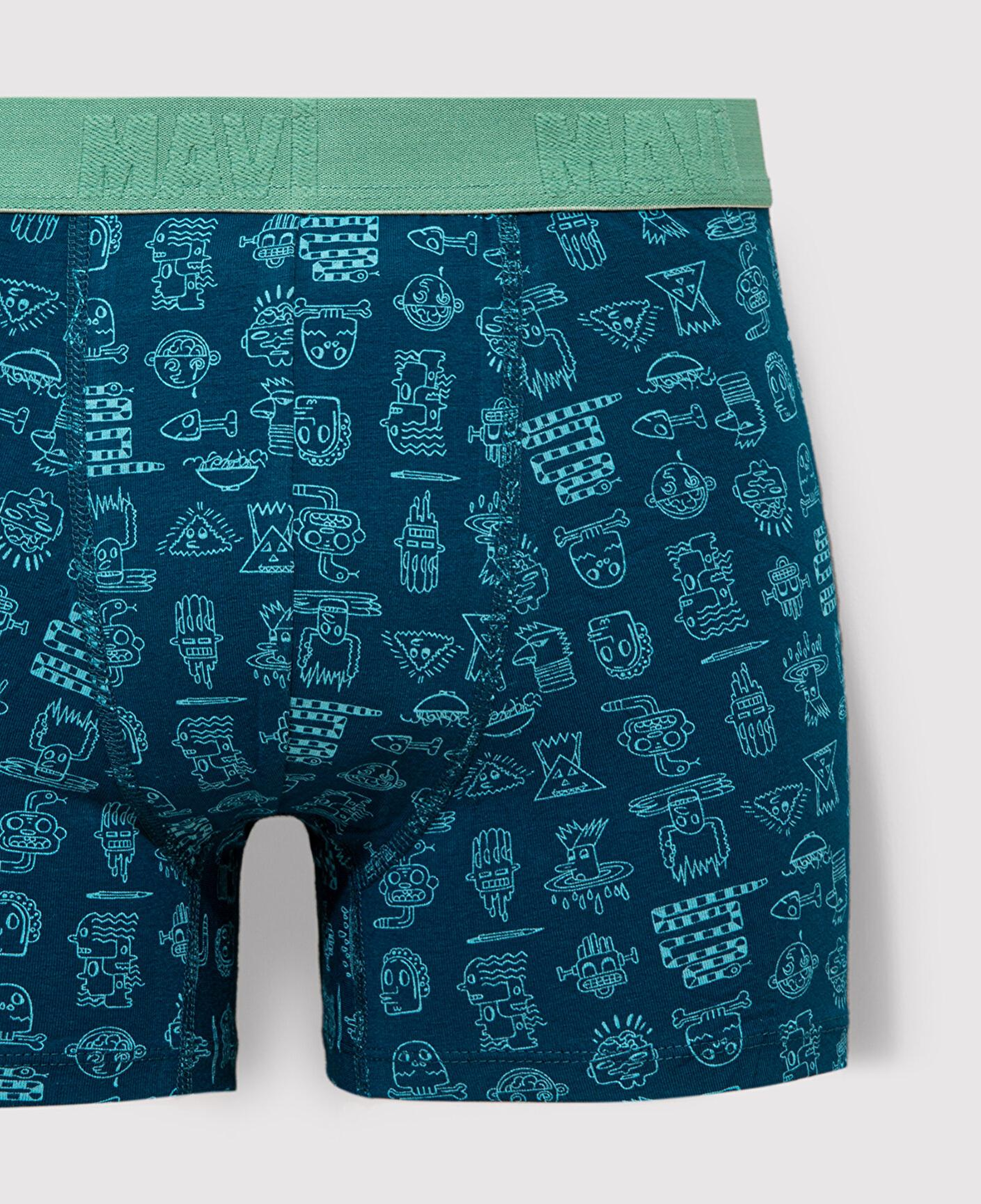 Mavi Baskılı Mavi Boxer 091119-71923