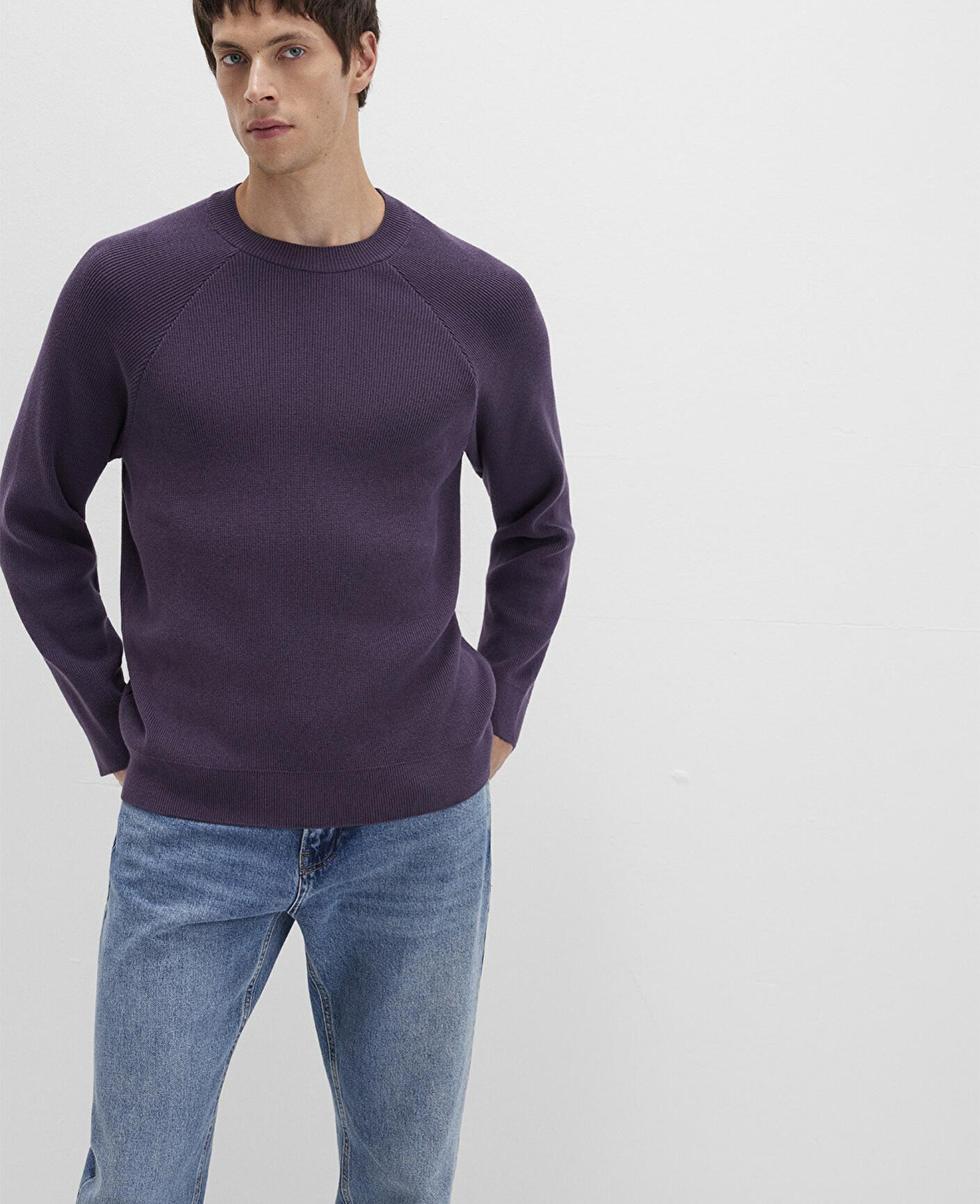 Mavi Bisiklet Yaka Mor Kazak Regular Fit / Normal Kesim 0710307-70688