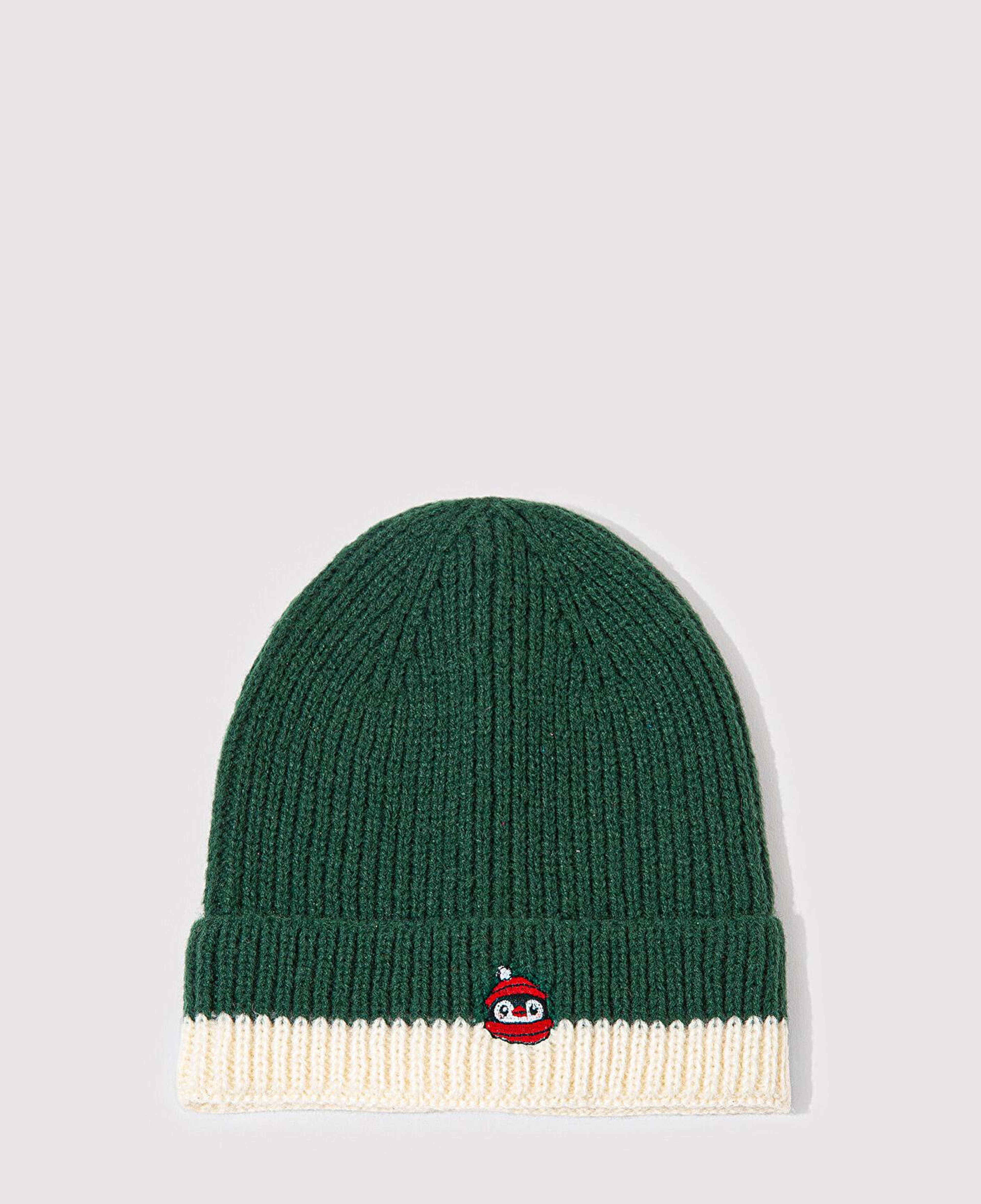 Mavi Yılbaşı Temalı Penguen Nakışlı Yeşil Bere 1913609-27150