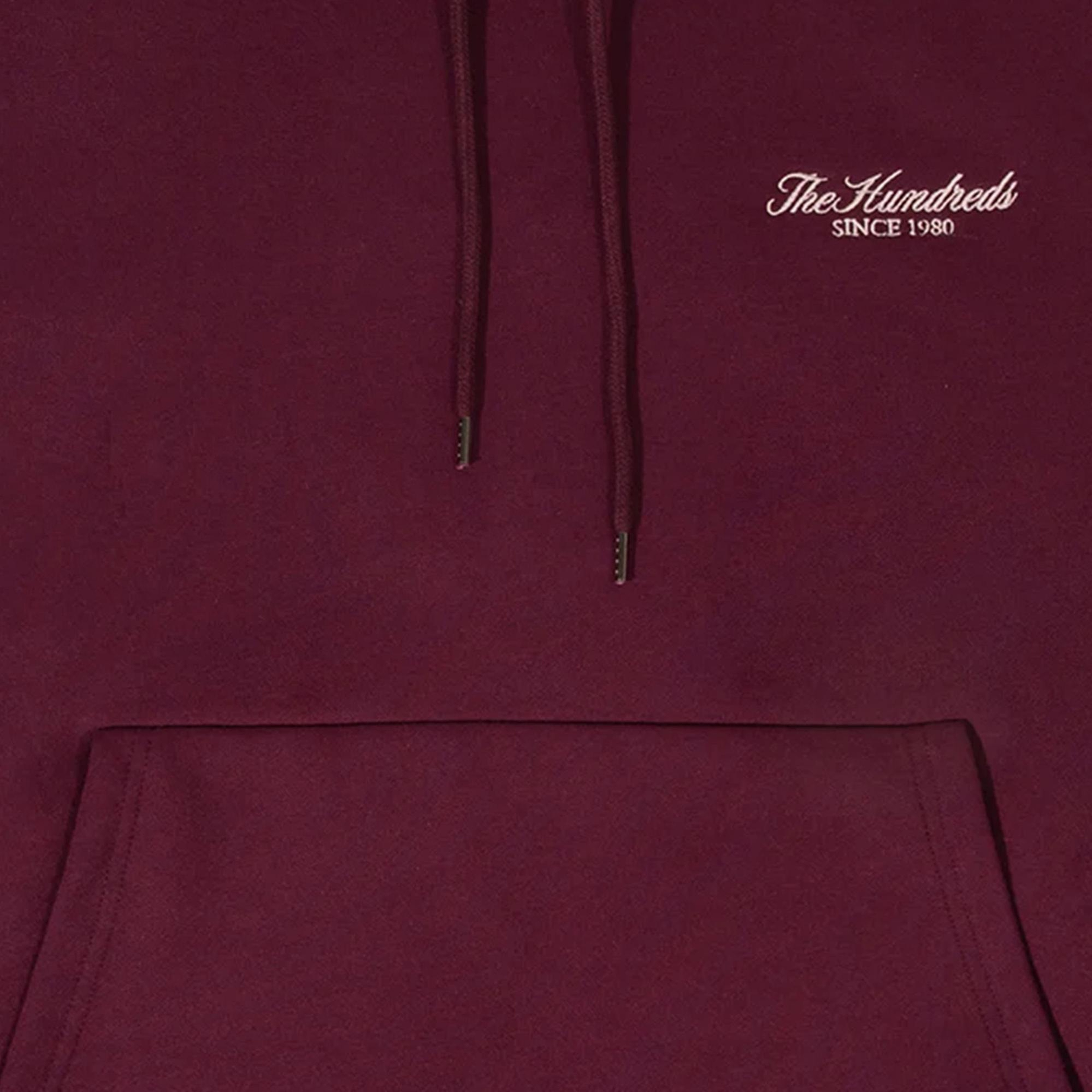 The Hundreds Vibes Pullover Erkek Mor Hoodie