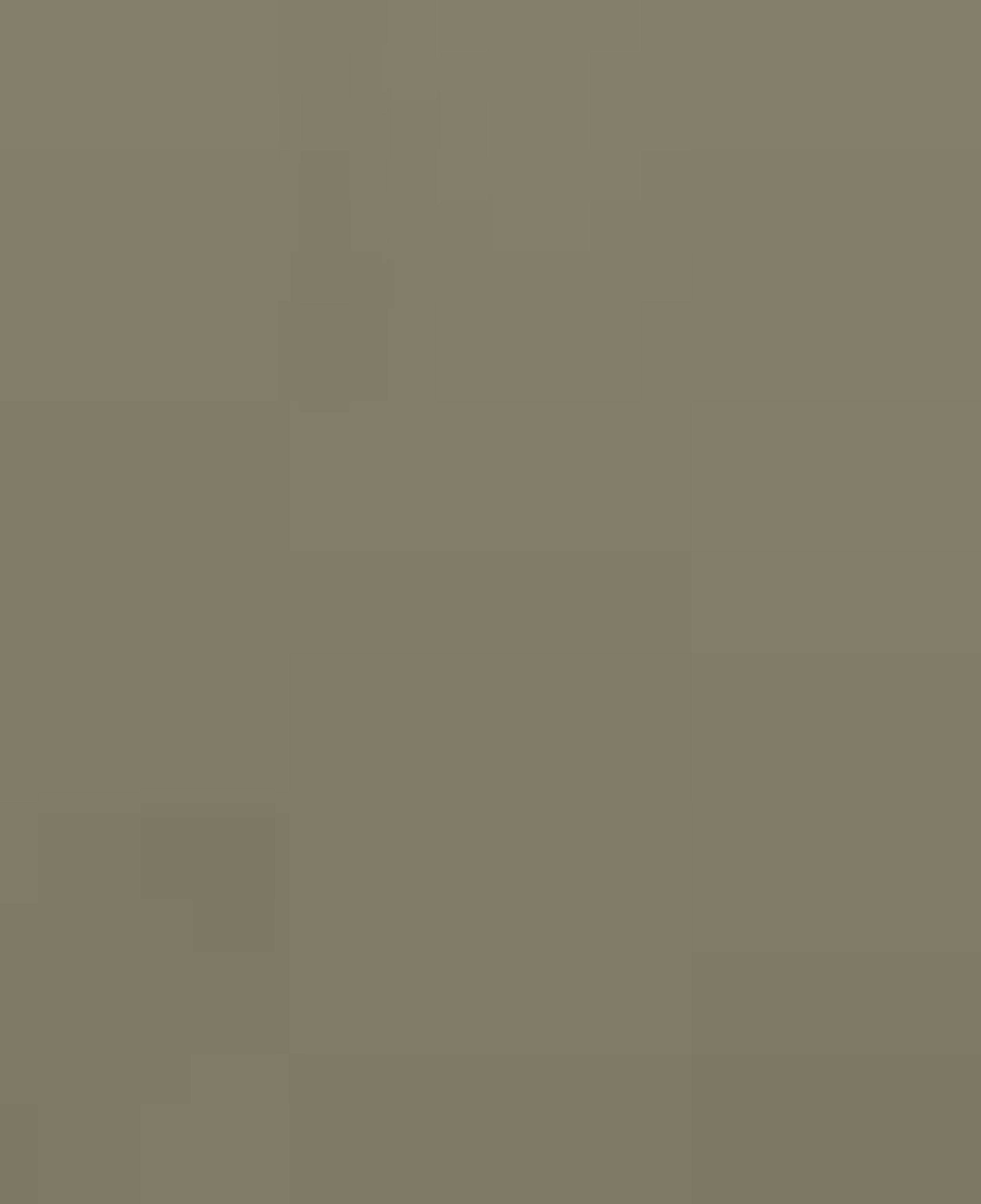 Nautica Kadın Yeşil Regular Fit Mont