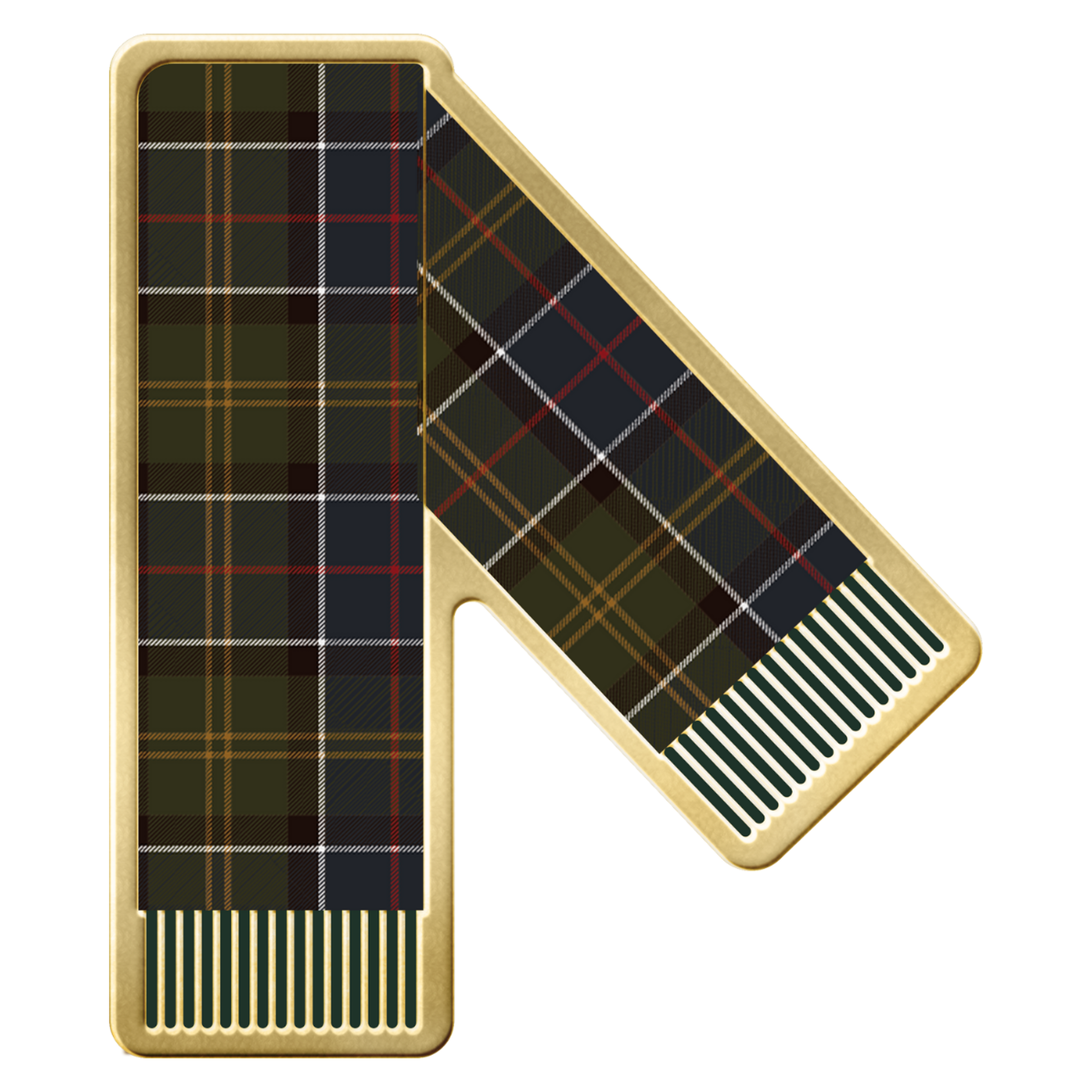 Barbour Tartan Scar Rozet
