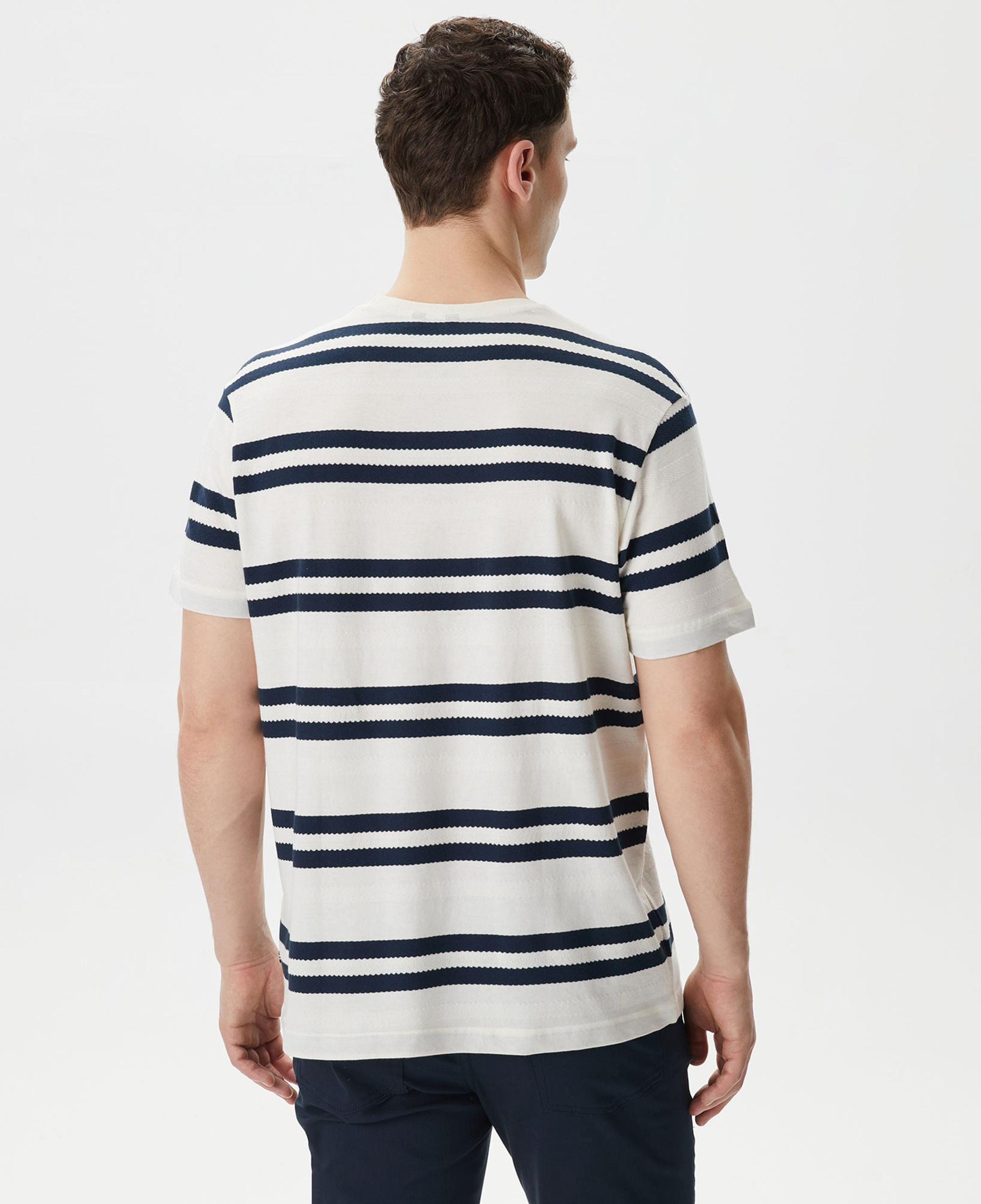 Nautica Erkek Beyaz Standart Fit Kısa Kollu Çizgili T-Shirt