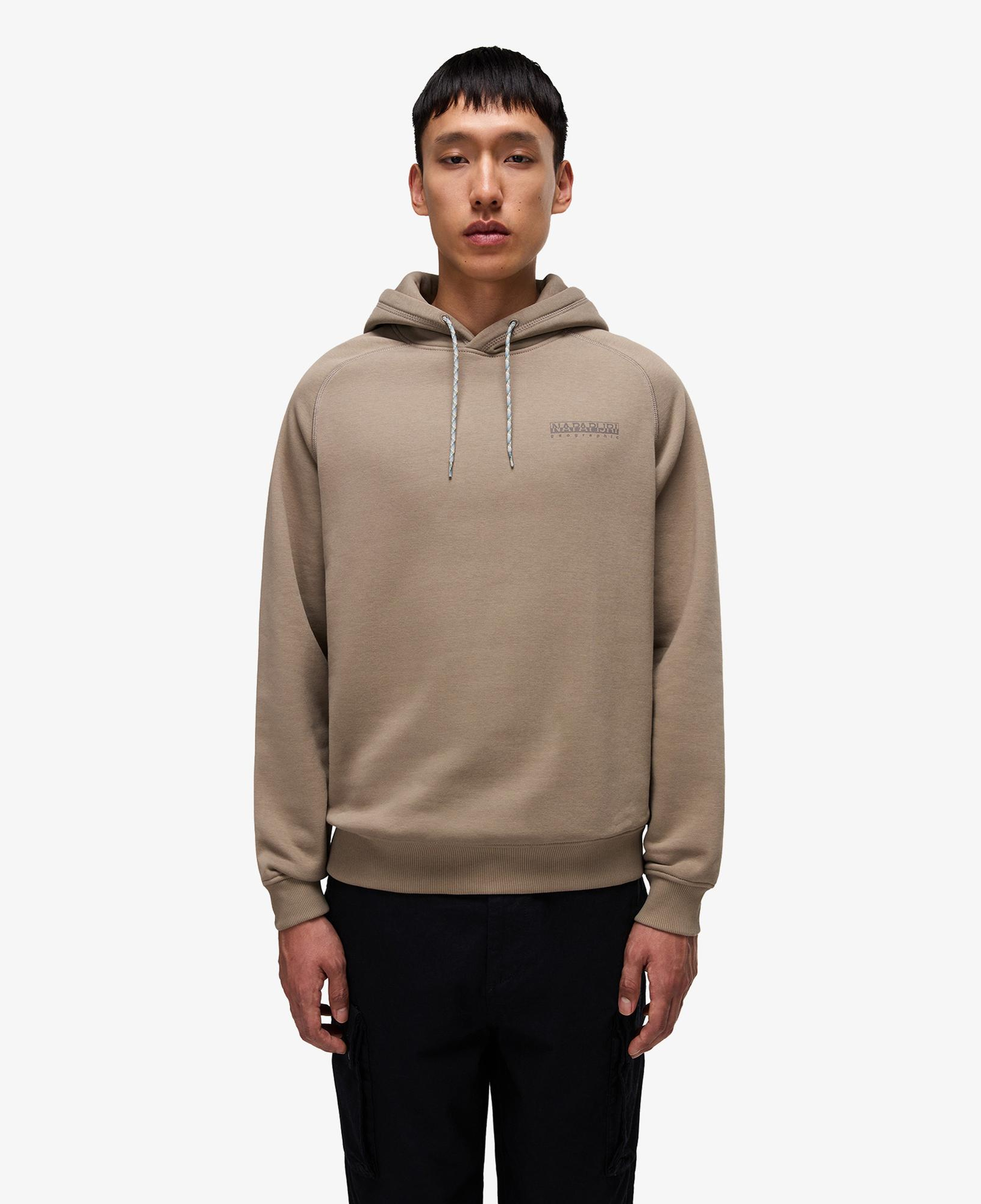 Napapijri B-Back Graphic Erkek Yeşil Sweatshirt