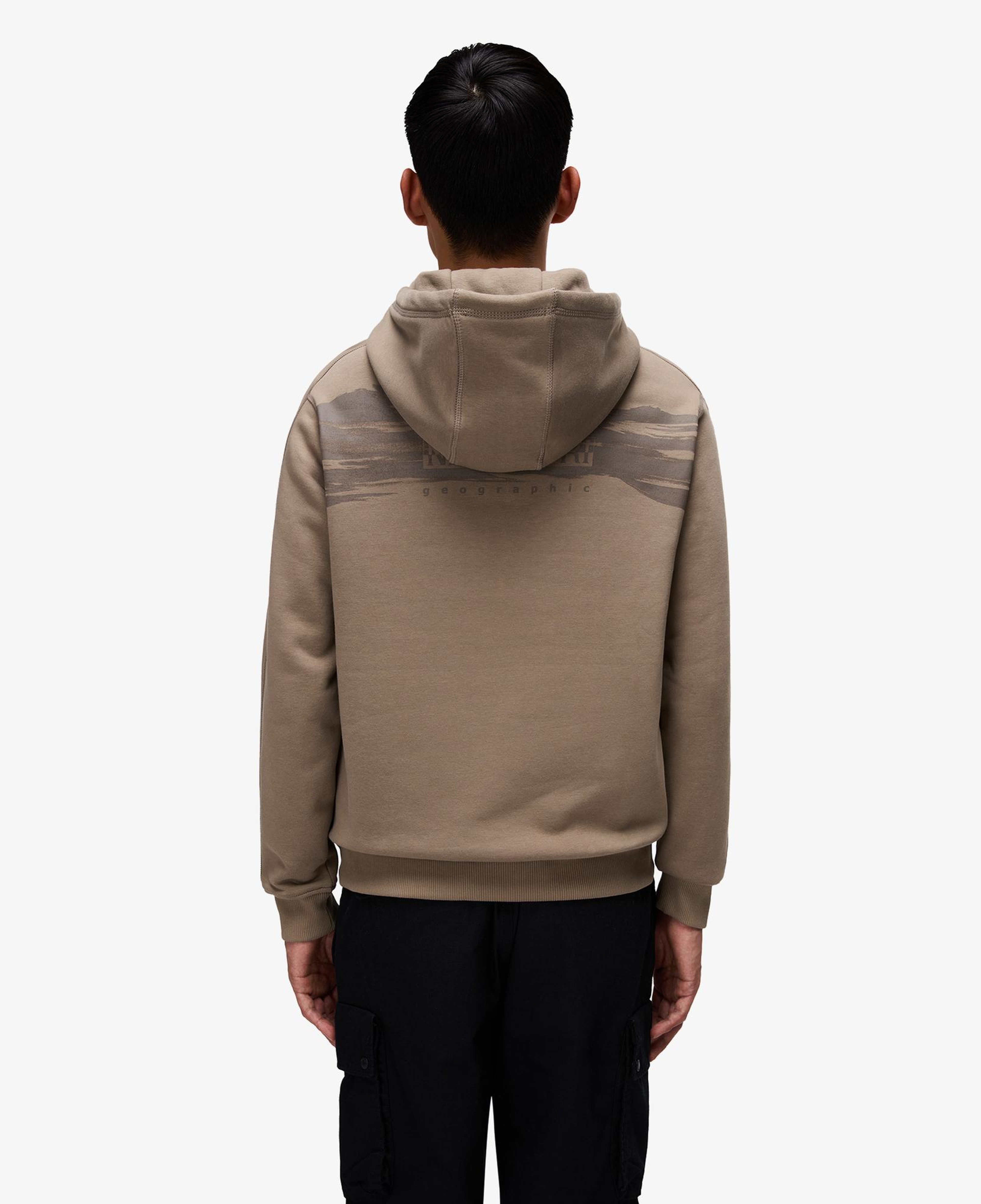 Napapijri B-Back Graphic Erkek Yeşil Sweatshirt