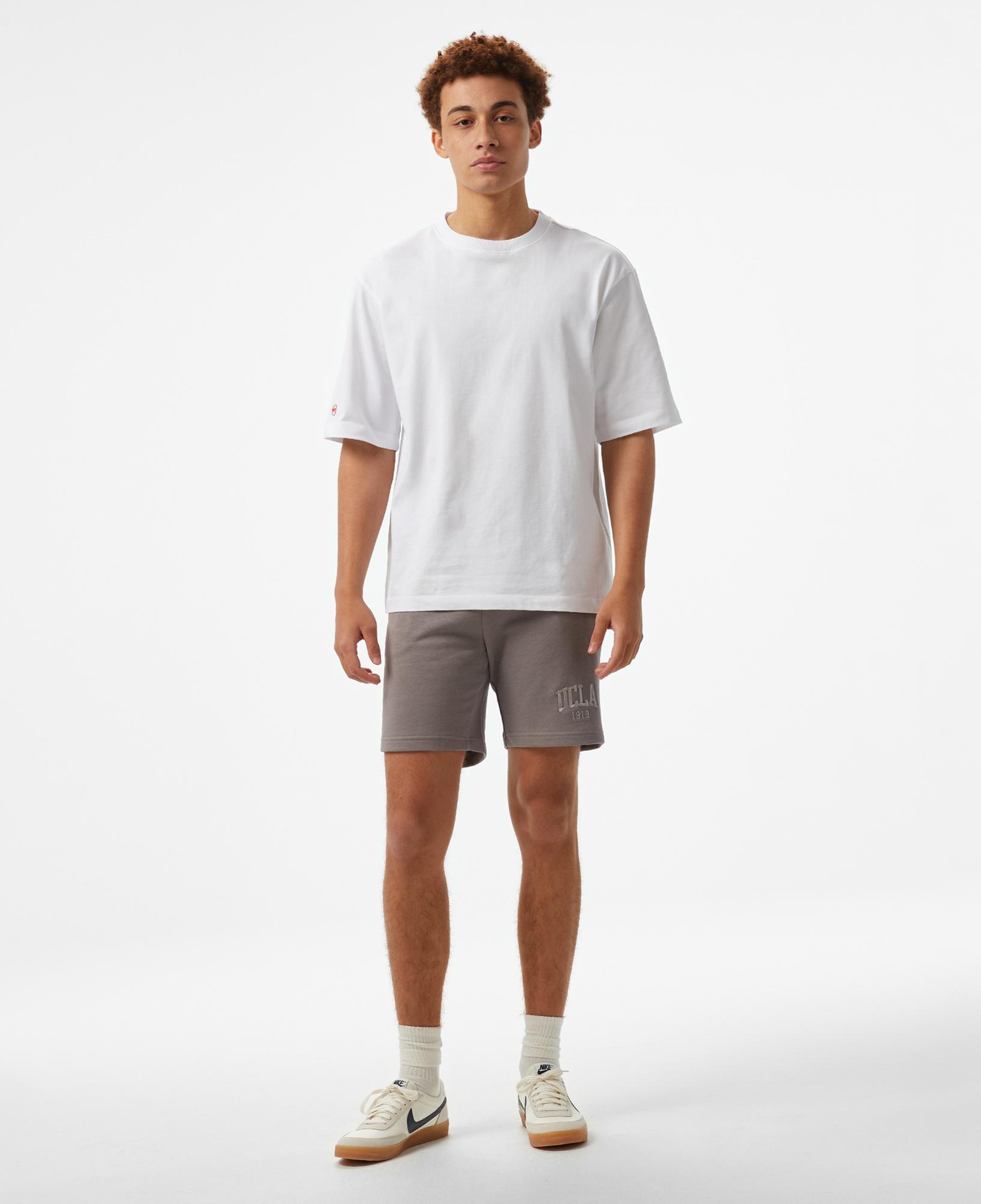 Ucla Nakışlı Standard Fit Erkek Gri Şort